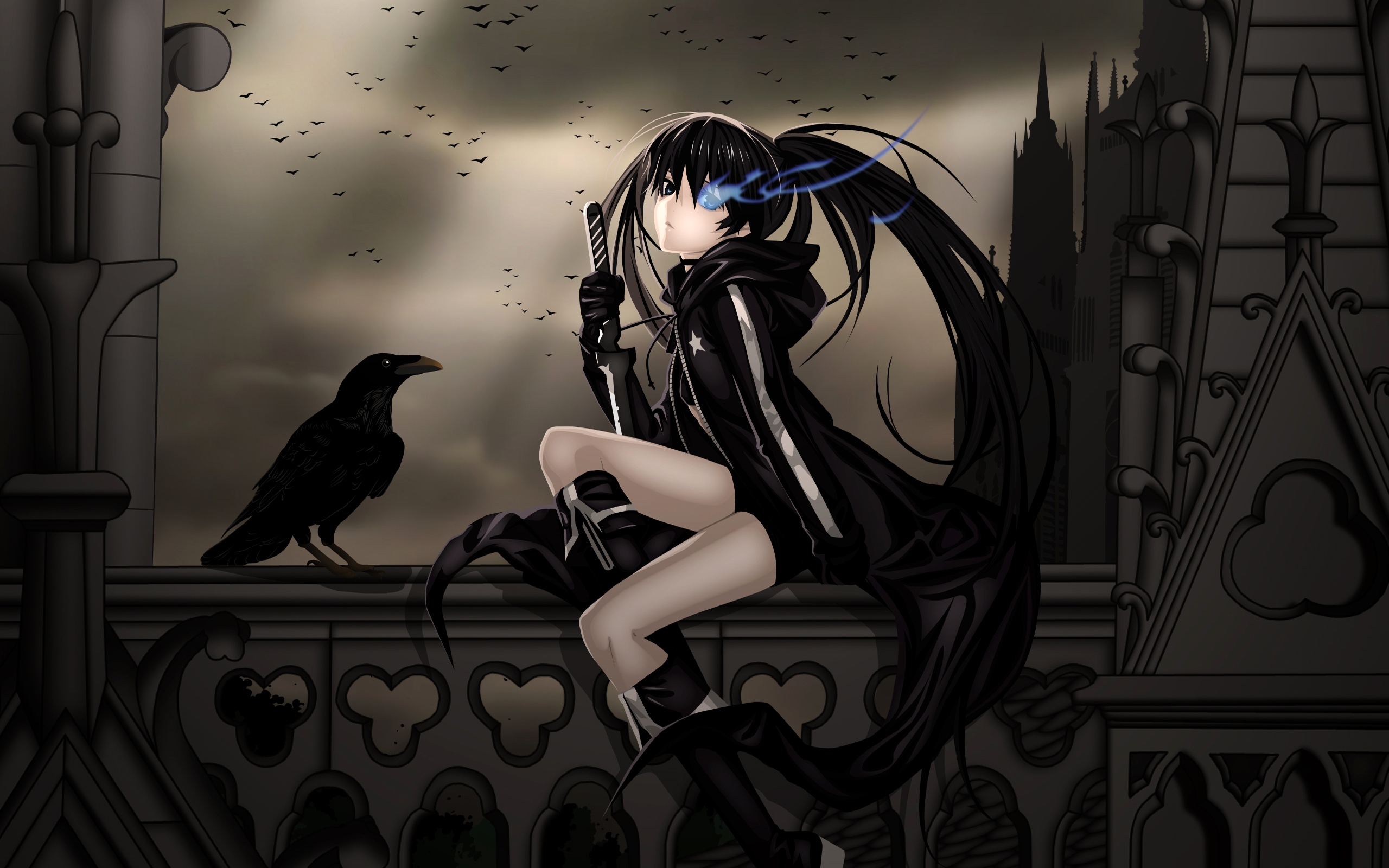 Black Rock Shooter with a crow HD Wallpaper
