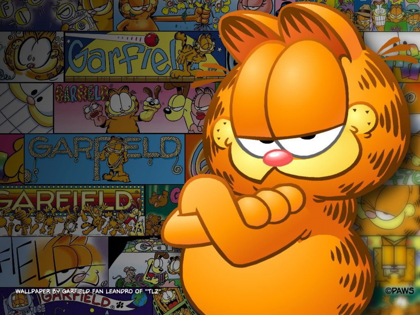 Garfield from Garfield HD Wallpaper
