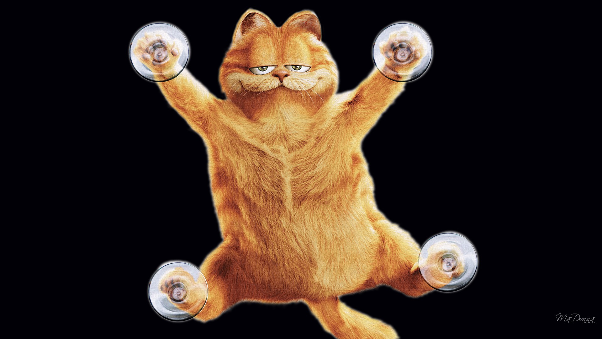 Garfield climbing with suction cups HD Wallpaper