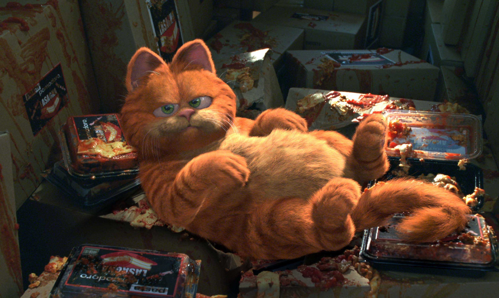 Garfield in a messy room with food containers HD Wallpaper