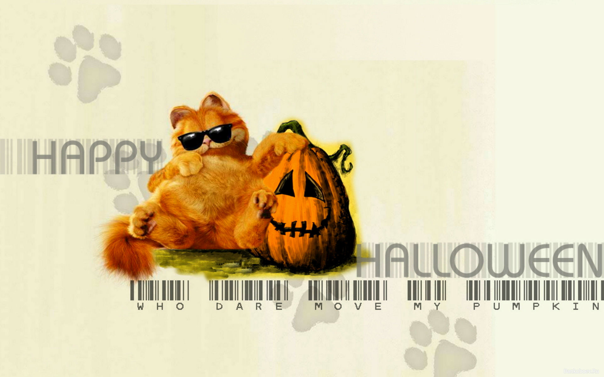 Garfield from Garfield Happy Halloween HD Wallpaper