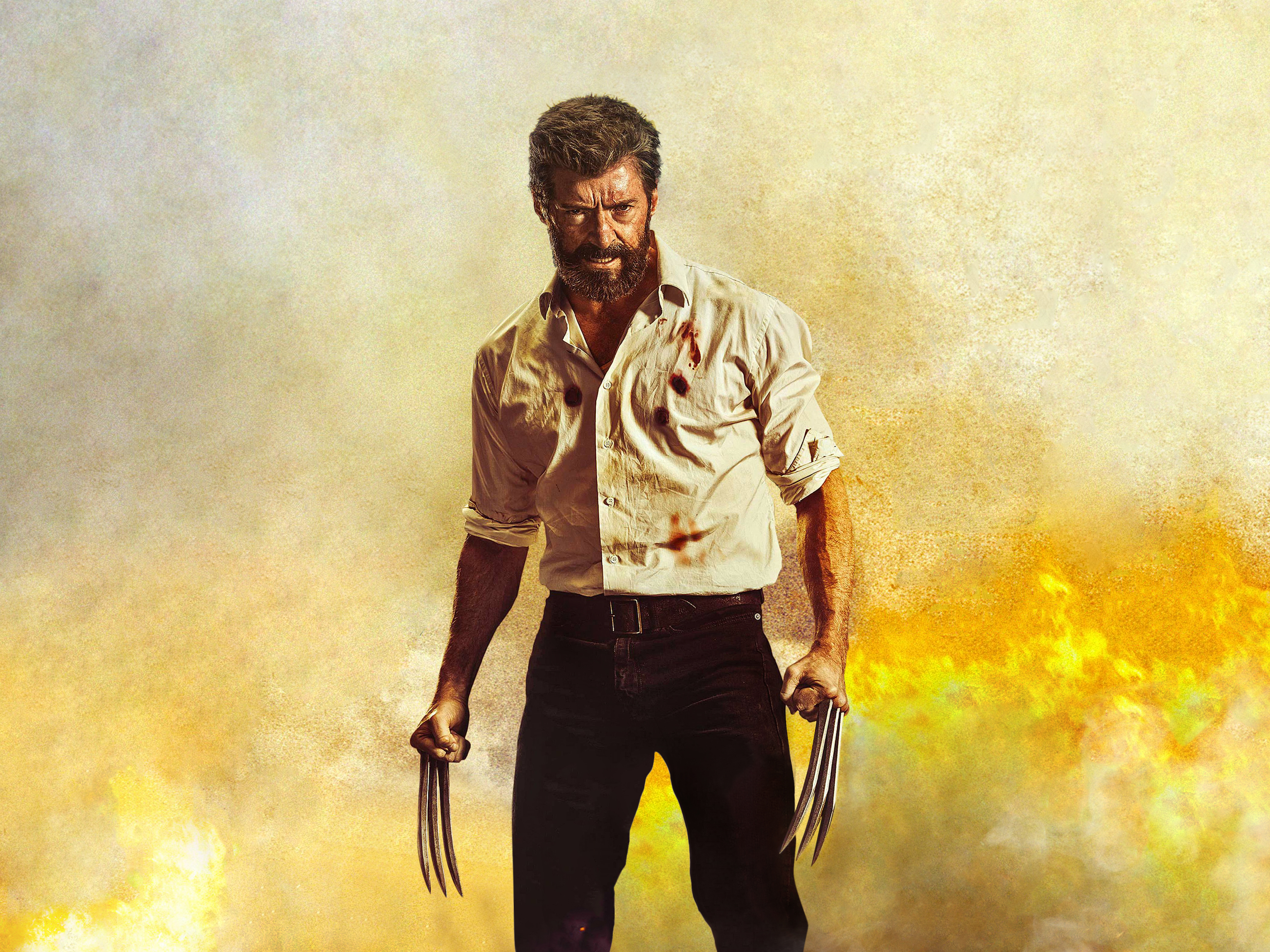 Wolverine from X-Men HD Wallpaper