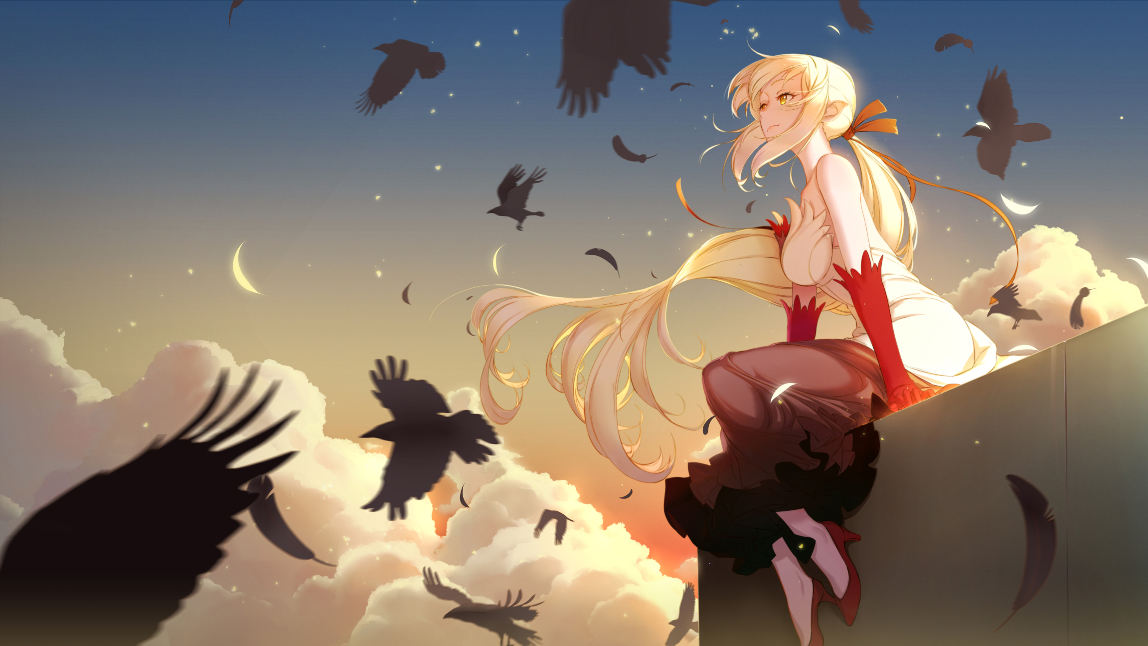Shinobu Oshino sitting on a ledge with crows HD Wallpaper