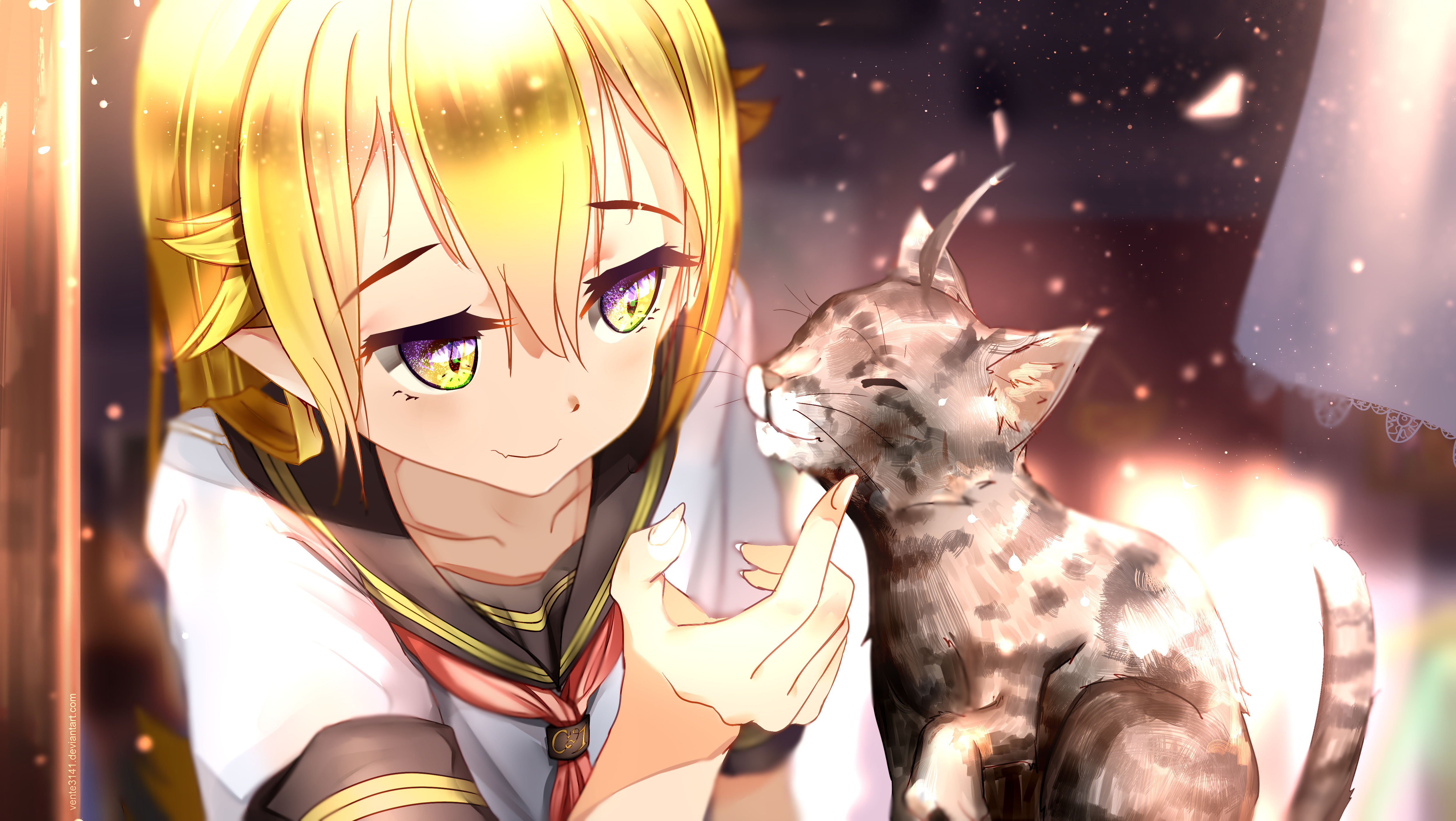 Shinobu Oshino with a cat HD Wallpaper