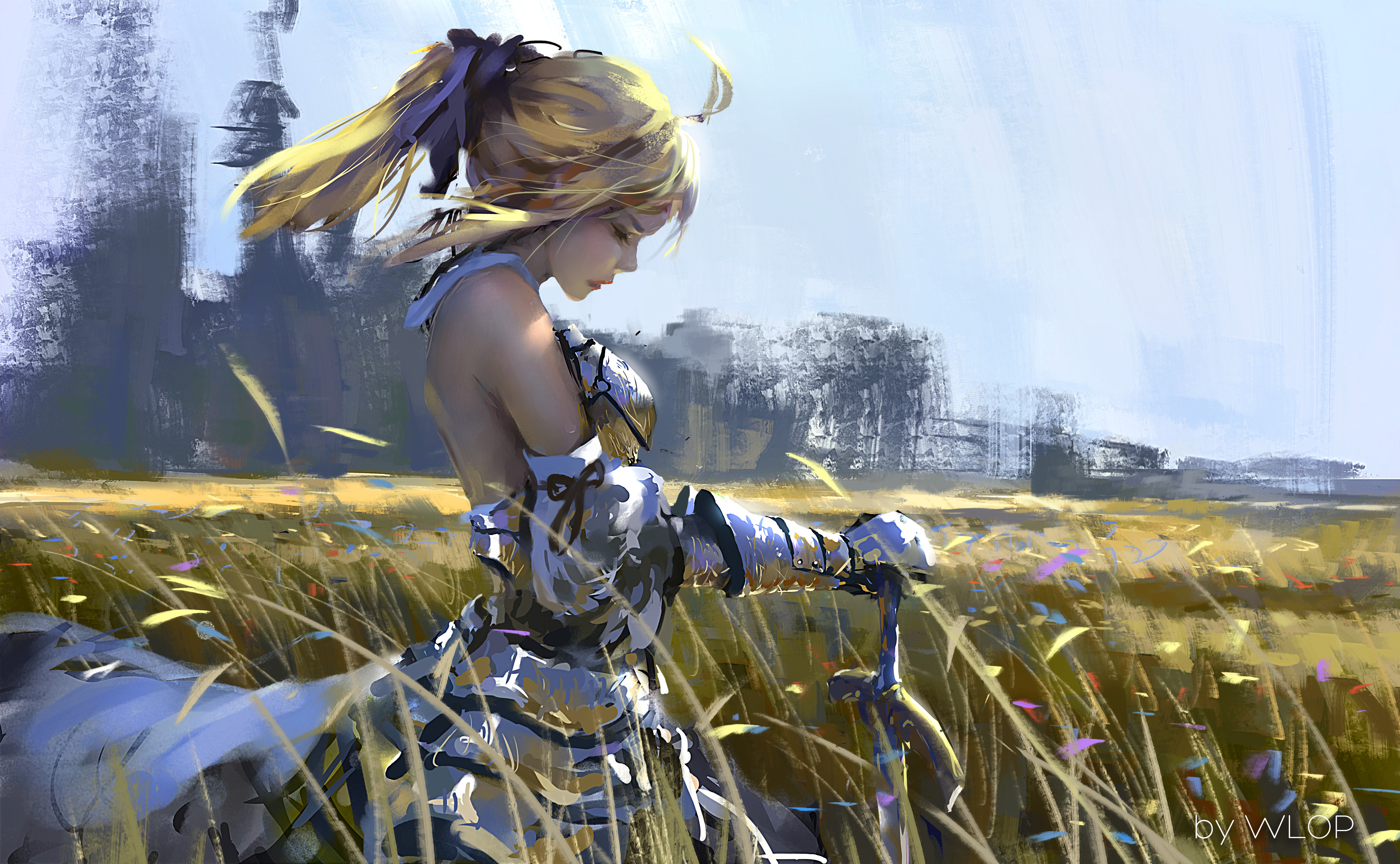 Saber from Fate Series in a field HD Wallpaper