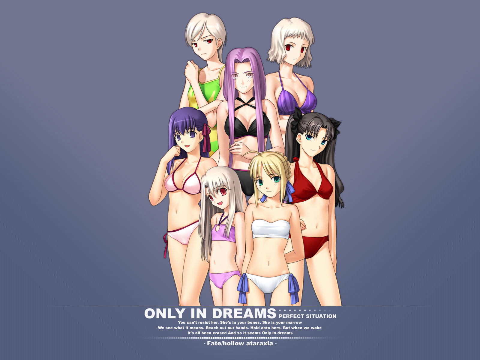 Characters from Fate/hollow ataraxia in swimsuits HD Wallpaper