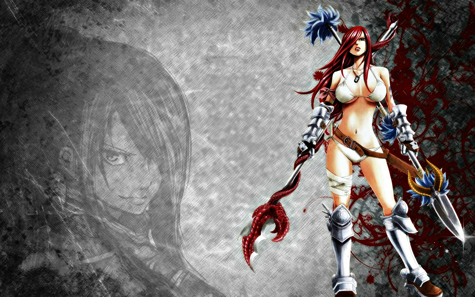 Erza Scarlet from Fairy Tail HD Wallpaper
