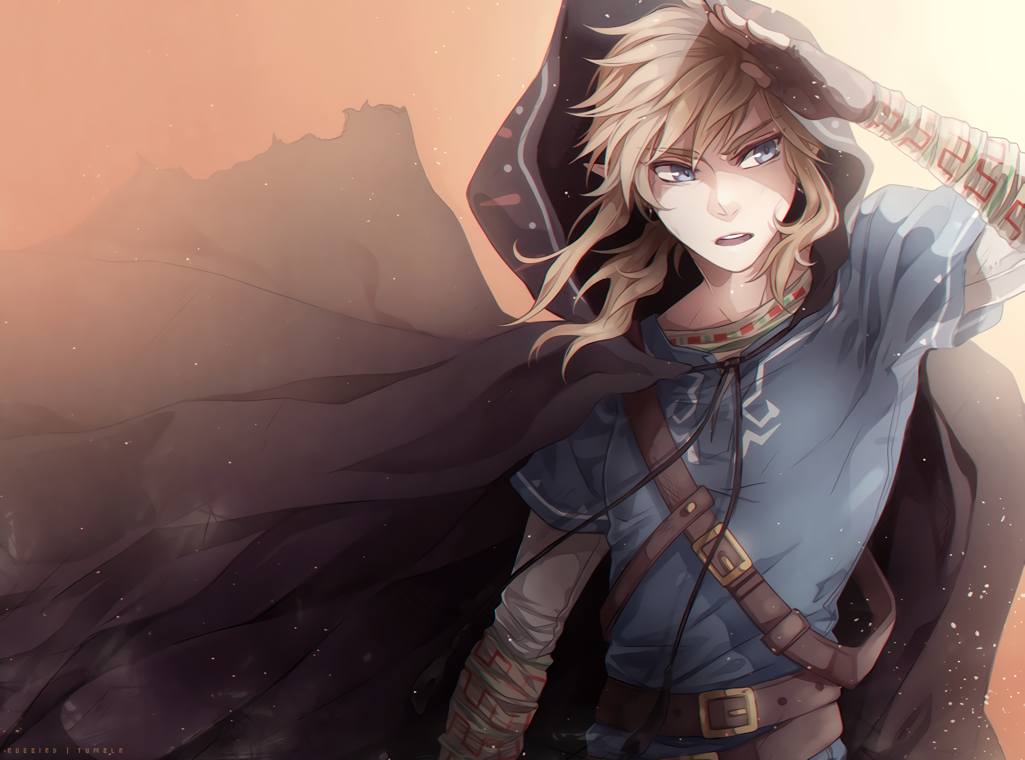 Link from The Legend of Zelda HD Wallpaper