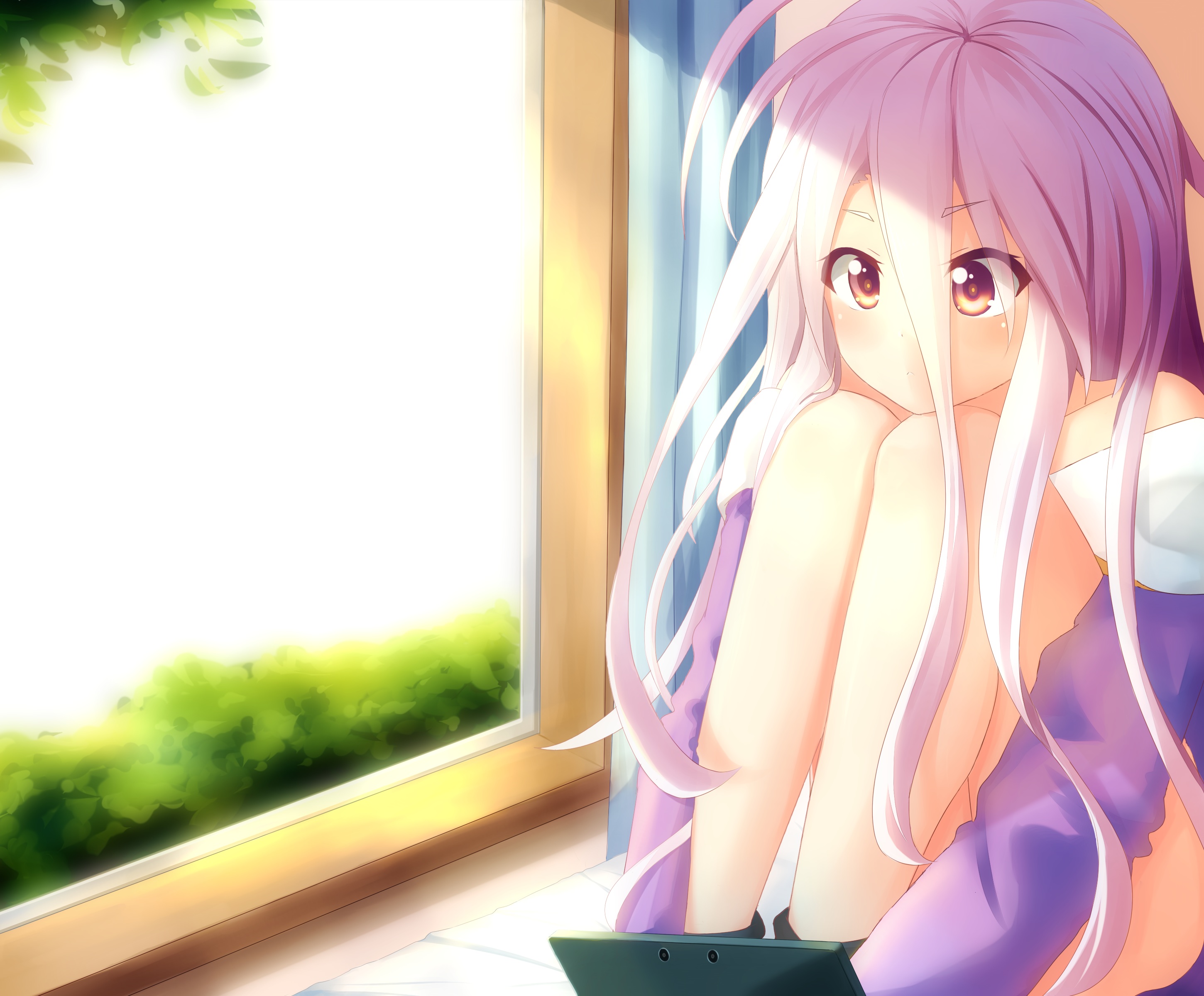 Shiro from No Game No Life HD Wallpaper