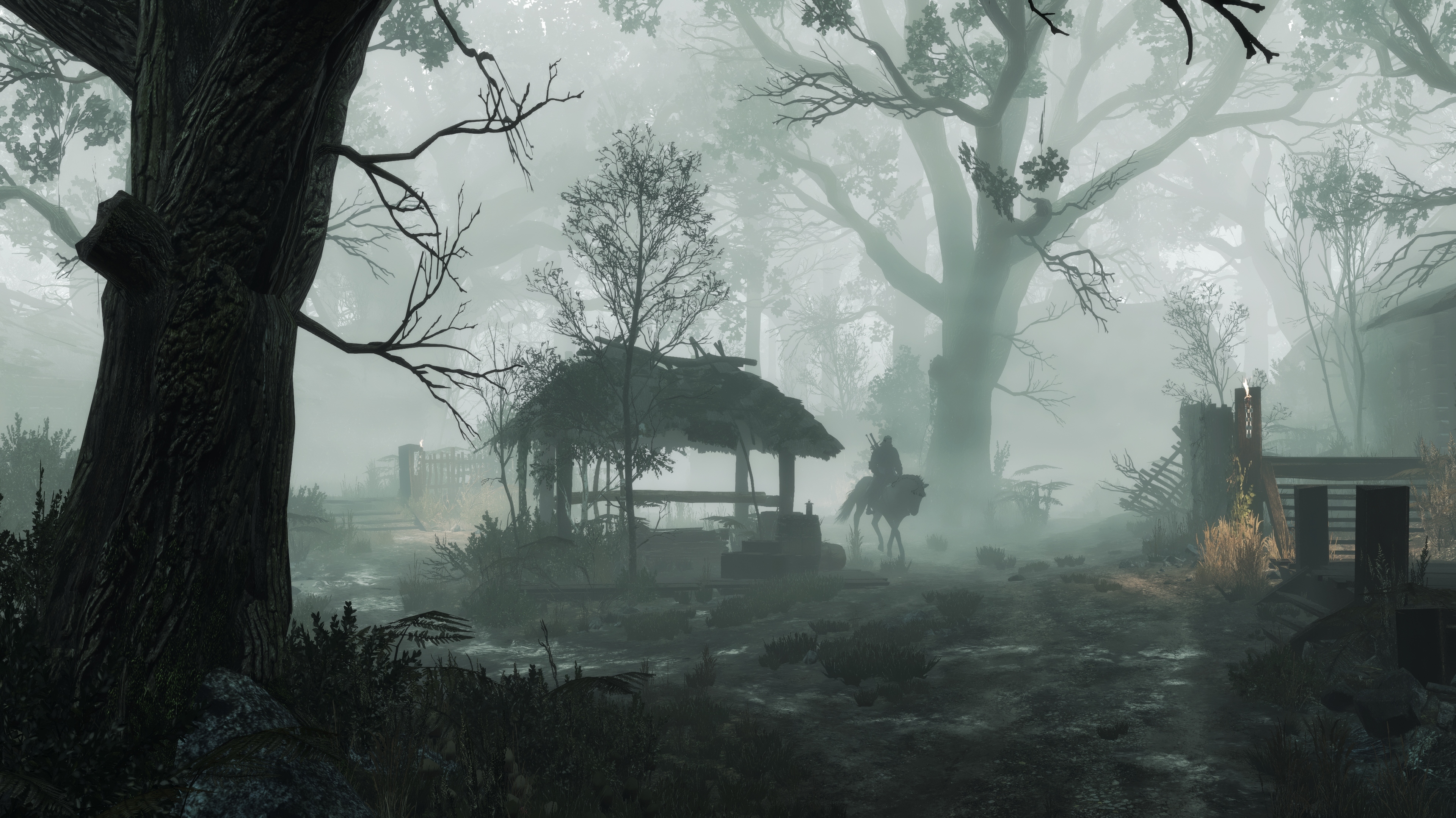 Geralt of Rivia in a foggy forest HD Wallpaper