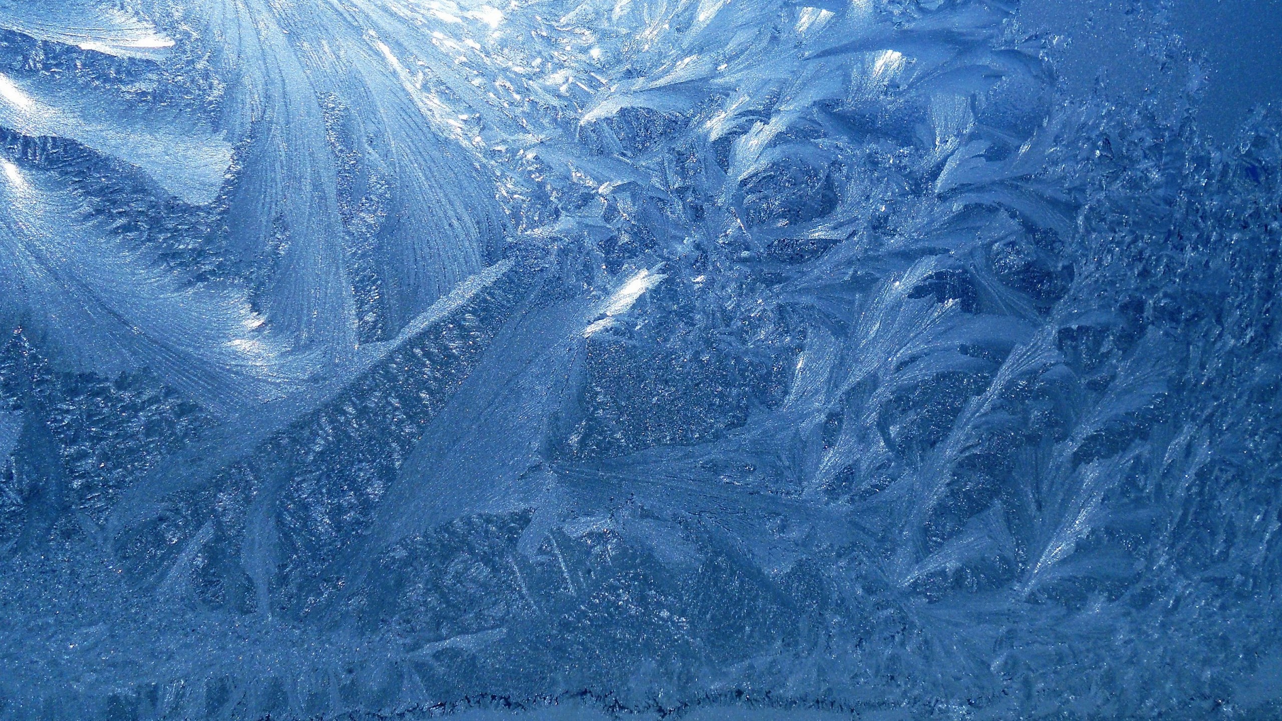 Close-up of frost patterns on a window HD Wallpaper