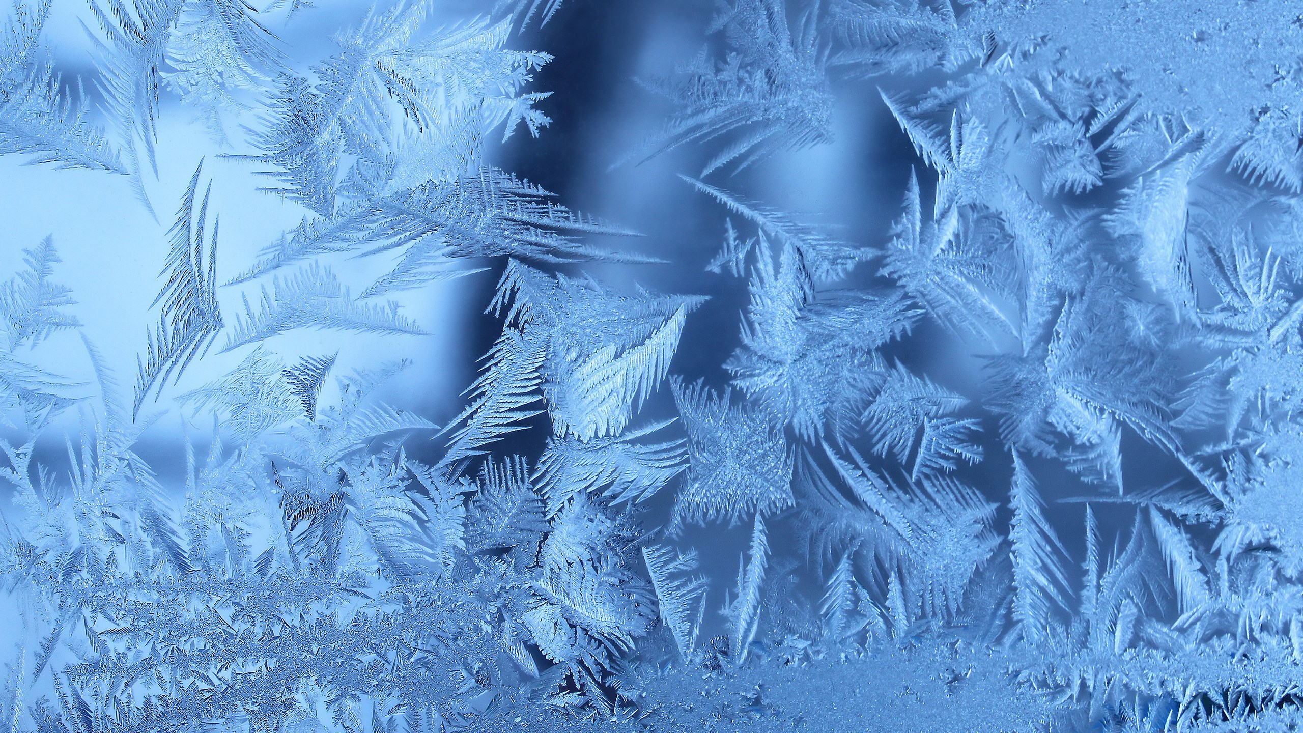 Close-up of frost patterns on glass HD Wallpaper
