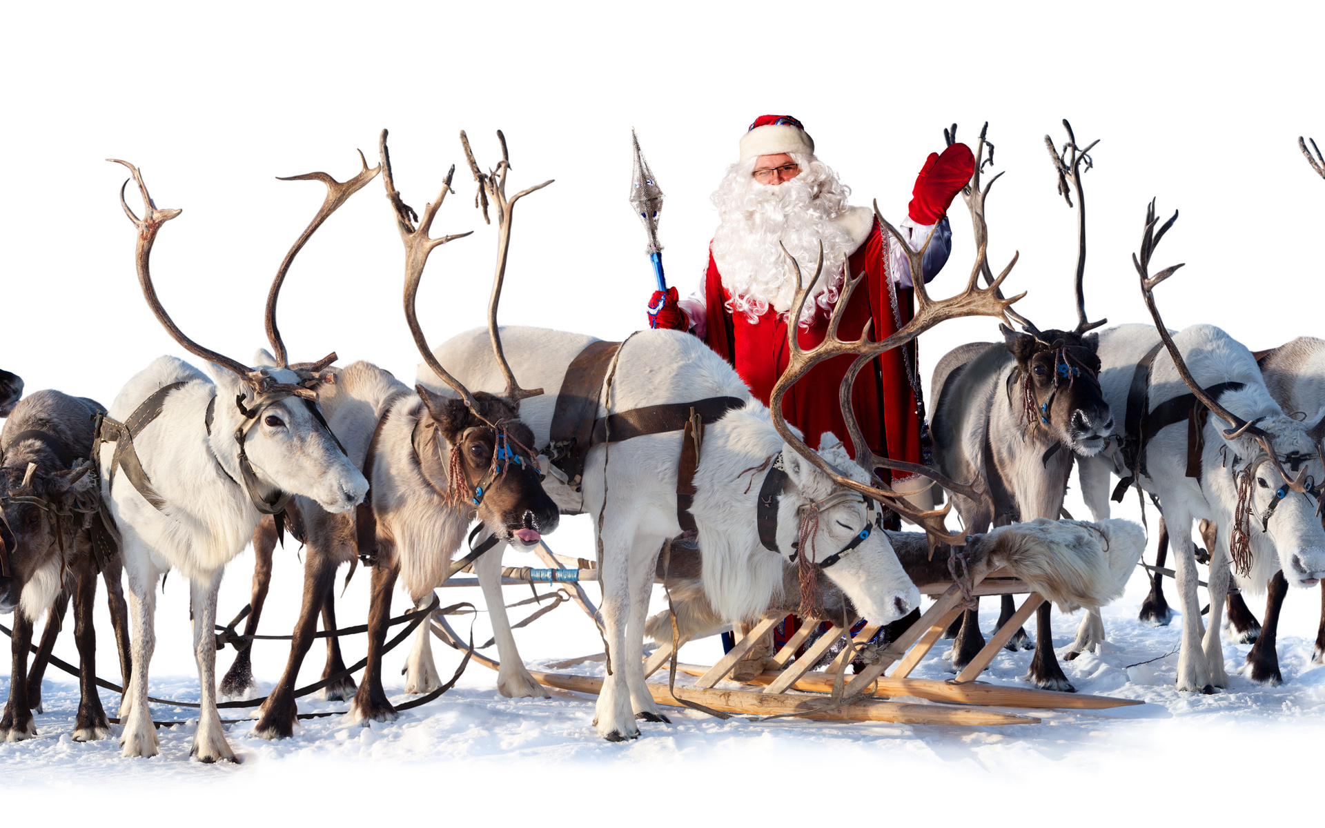 Santa Claus with reindeer and sleigh HD Wallpaper