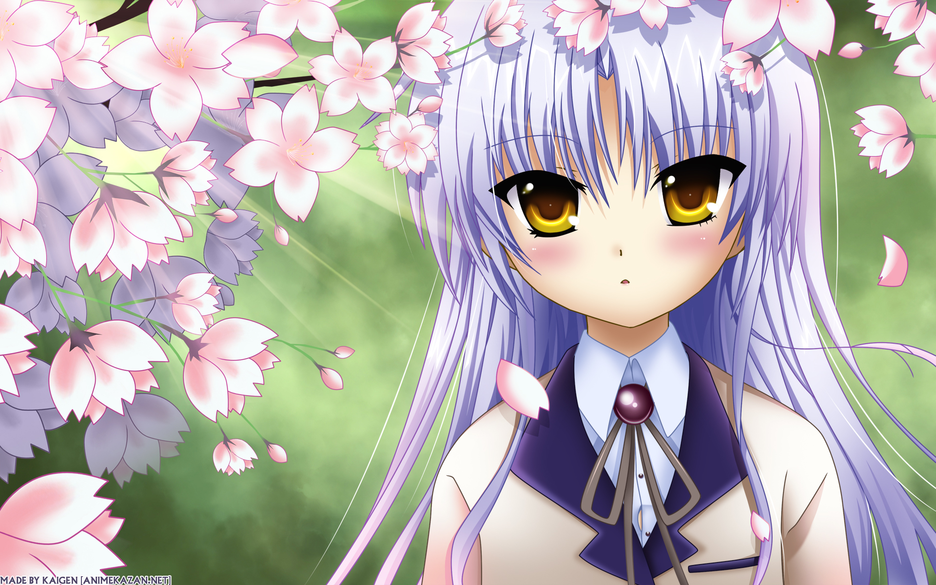 Kanade Tachibana with Cherry Blossoms HD Wallpaper