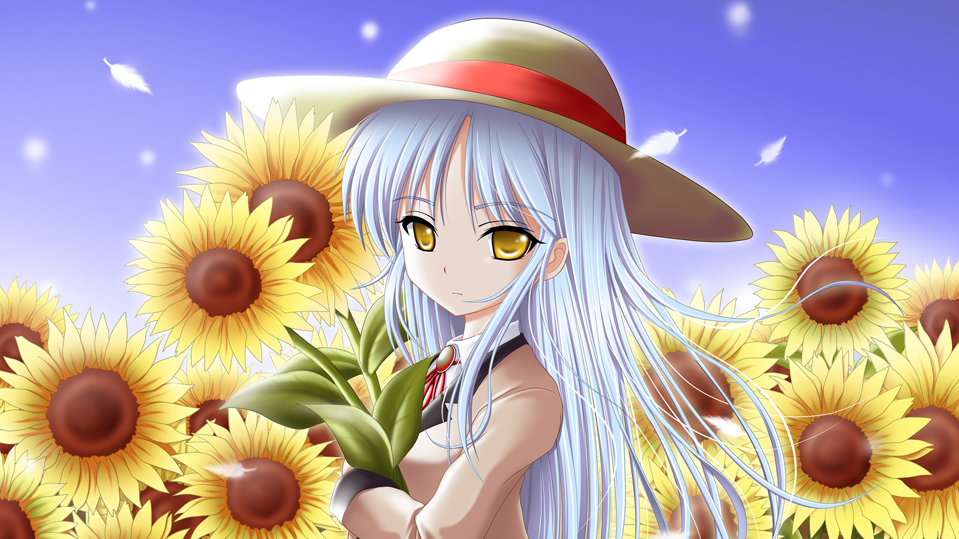 Kanade Tachibana in a Sunflower Field HD Wallpaper