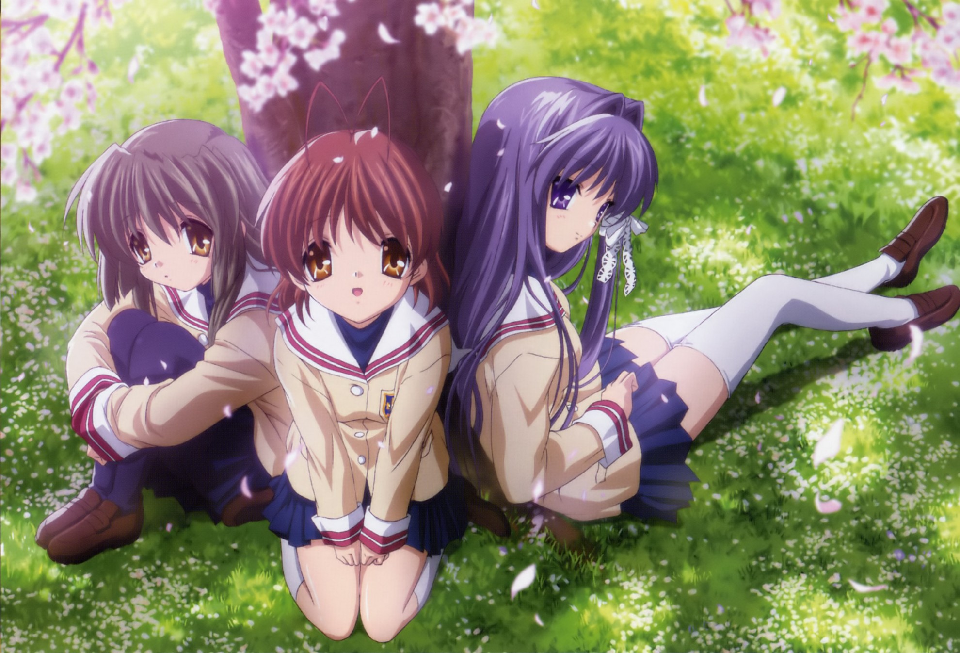 Three anime girls under a cherry blossom tree HD Wallpaper