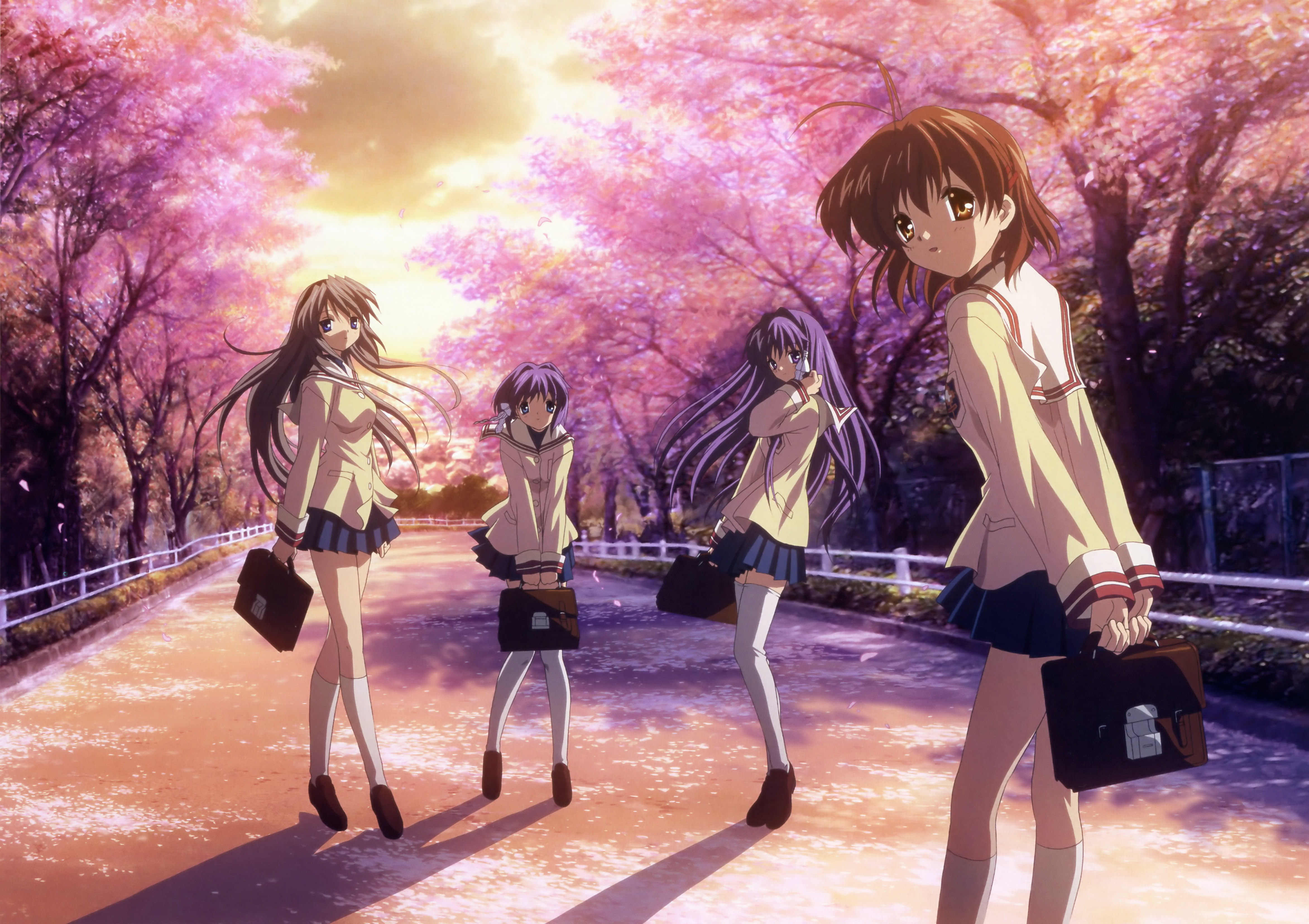 Four schoolgirls walking under cherry blossoms HD Wallpaper