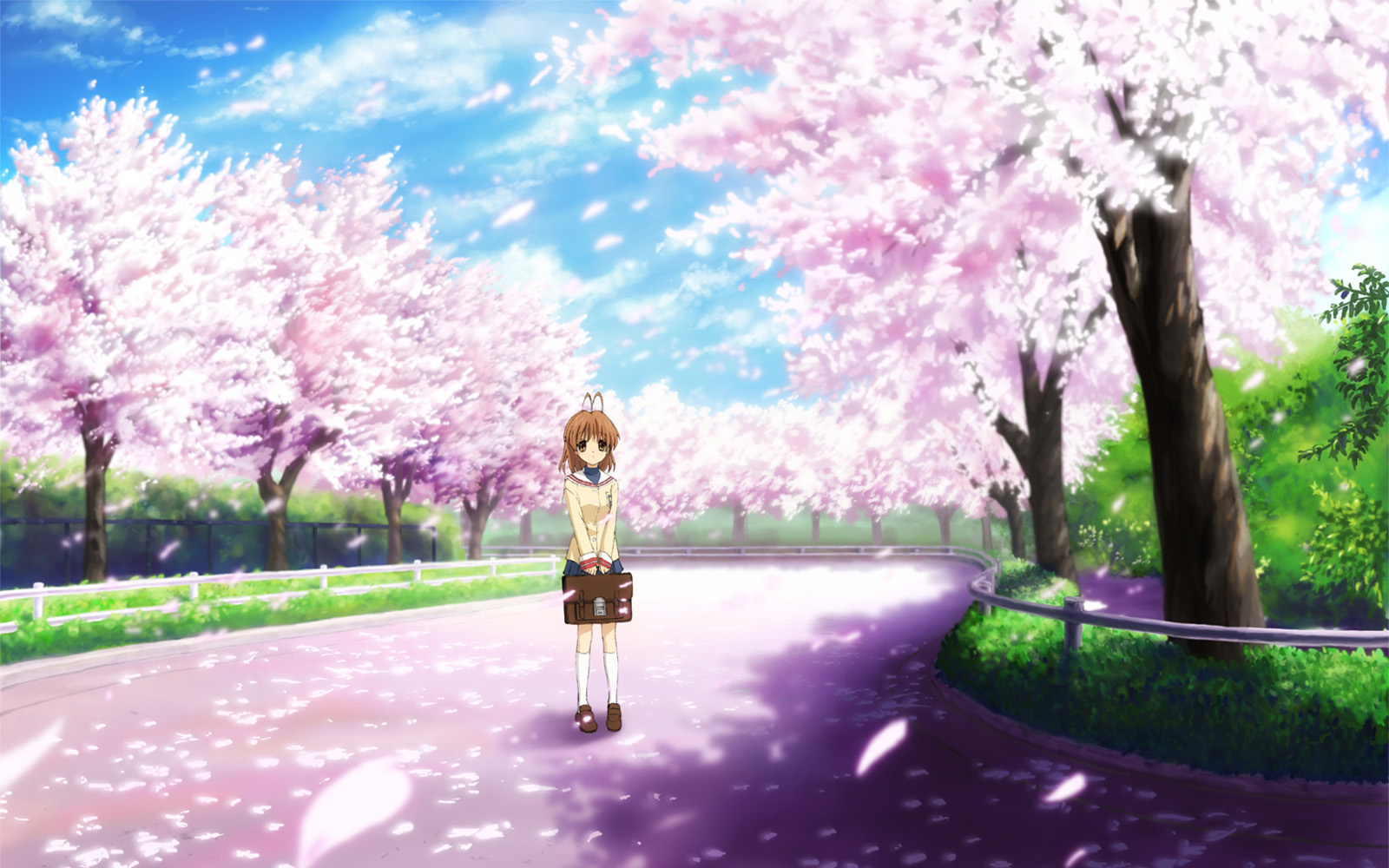 Nagisa Furukawa under Cherry Blossoms HD Wallpaper