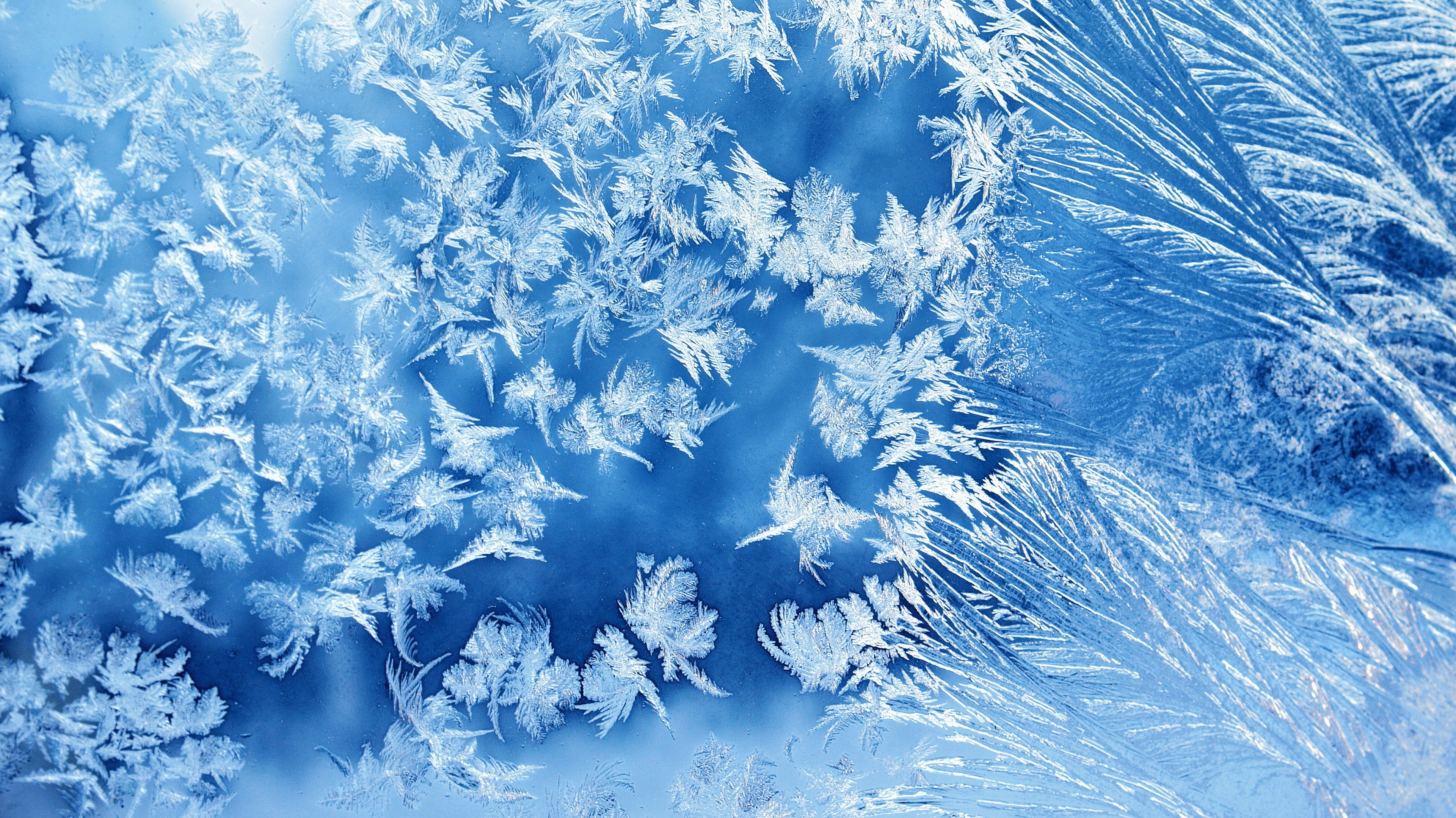 Close-up of frost patterns on a blue surface HD Wallpaper