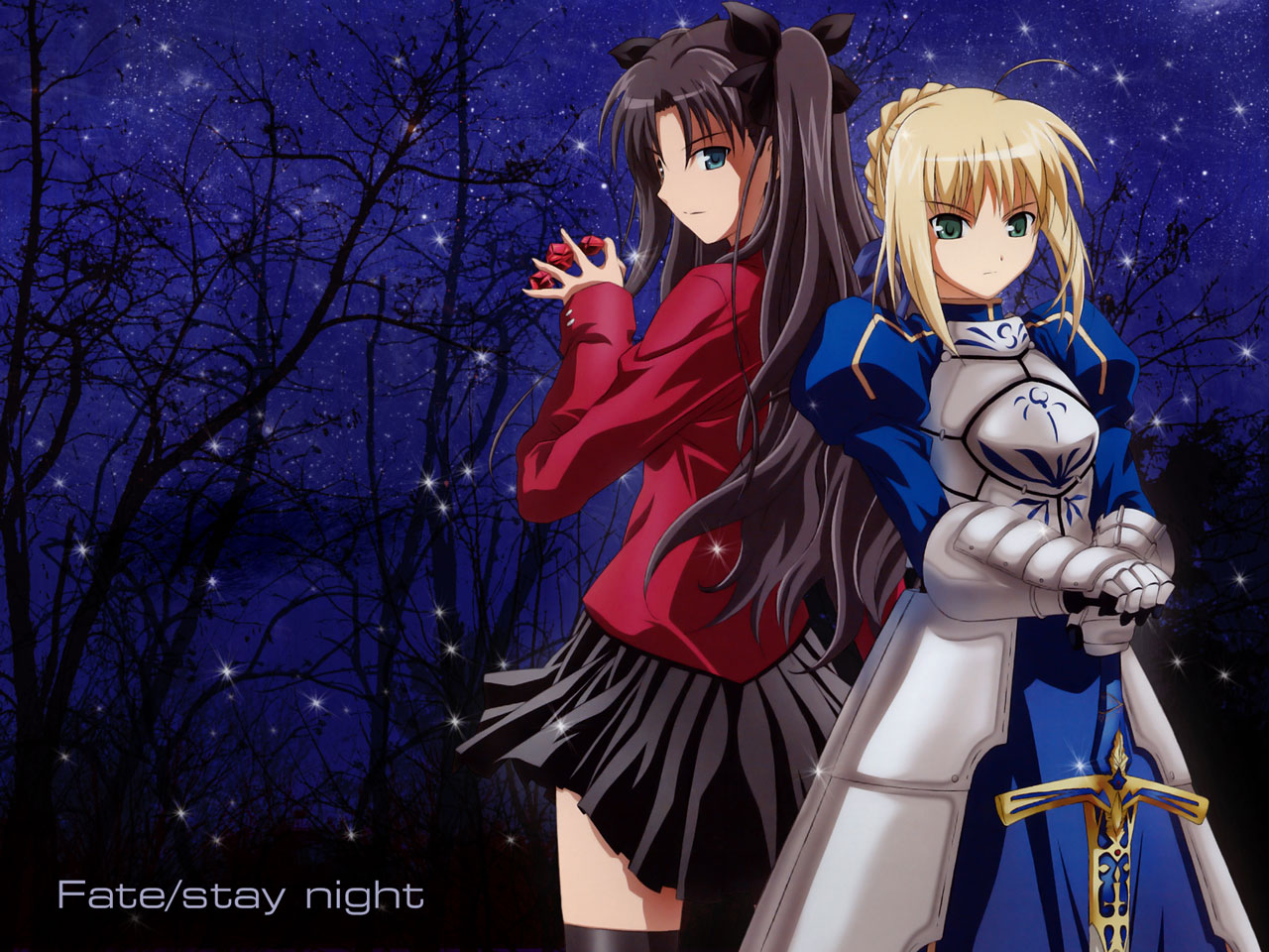 Rin Tohsaka and Saber from Fate/stay night HD Wallpaper