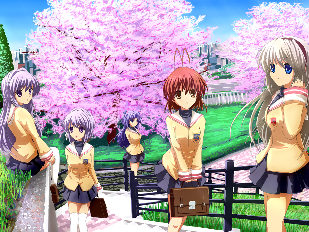 Kyou Fujibayashi and friends under cherry blossoms HD Wallpaper