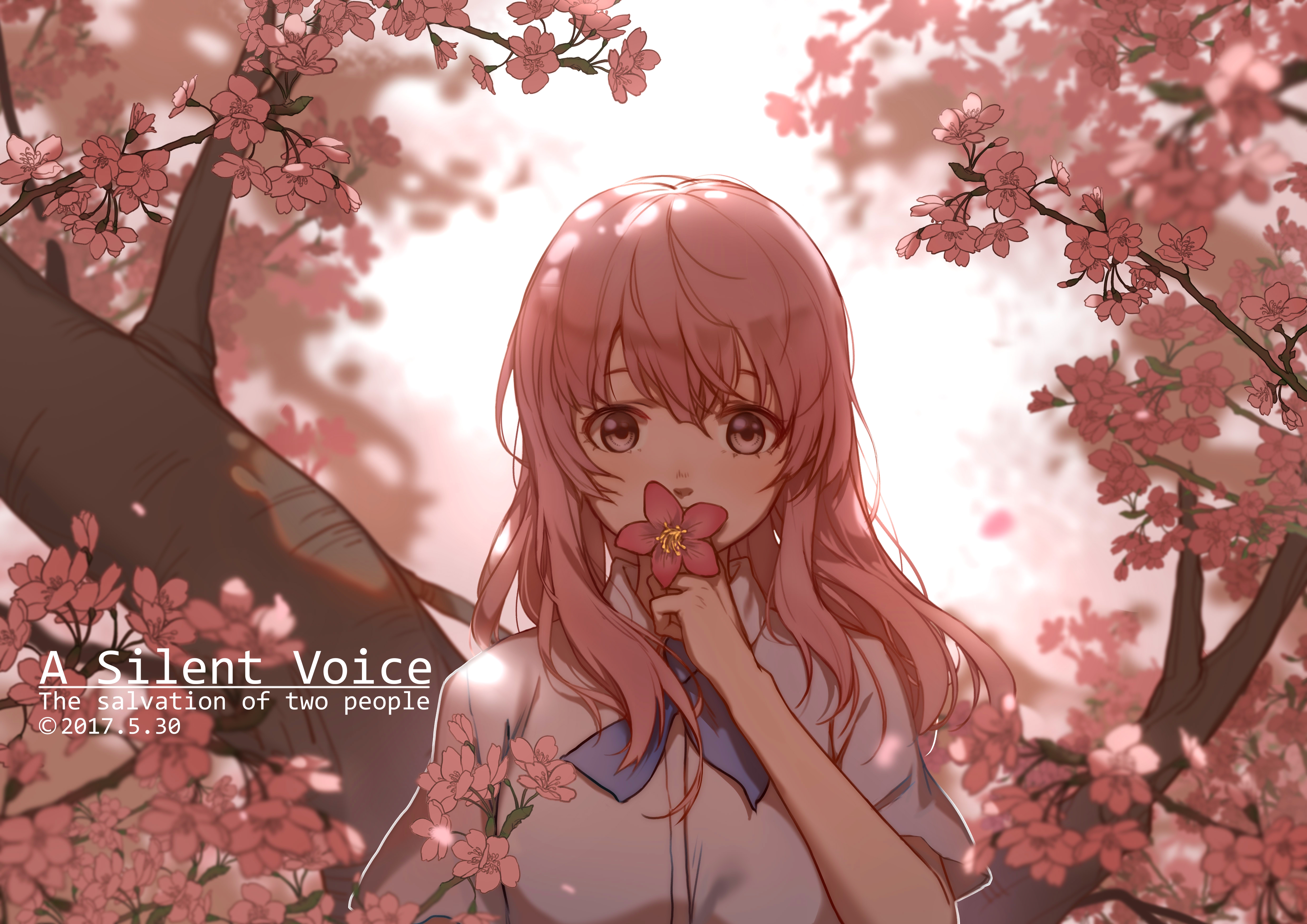 Shouko Nishimiya Among Cherry Blossoms HD Wallpaper