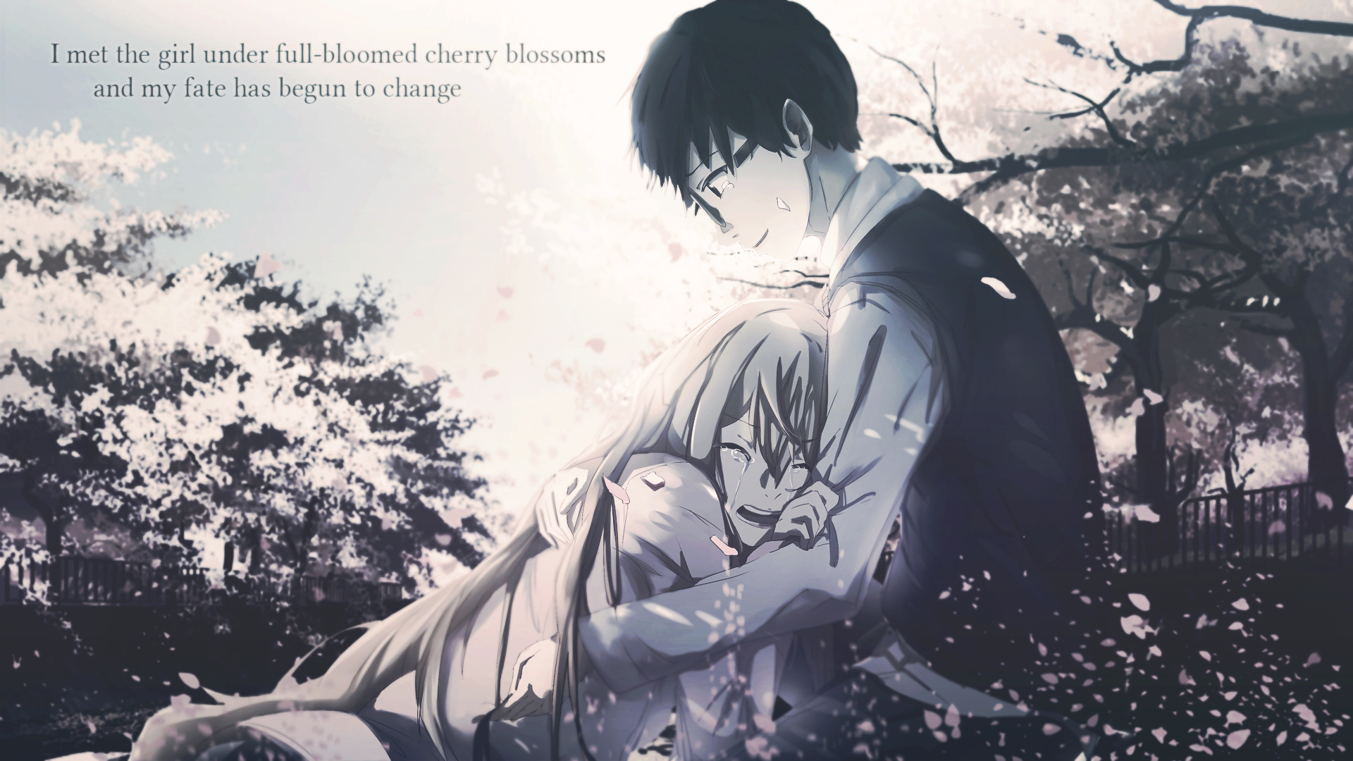 Kousei Arima and Kaori Miyazono under cherry blossoms HD Wallpaper