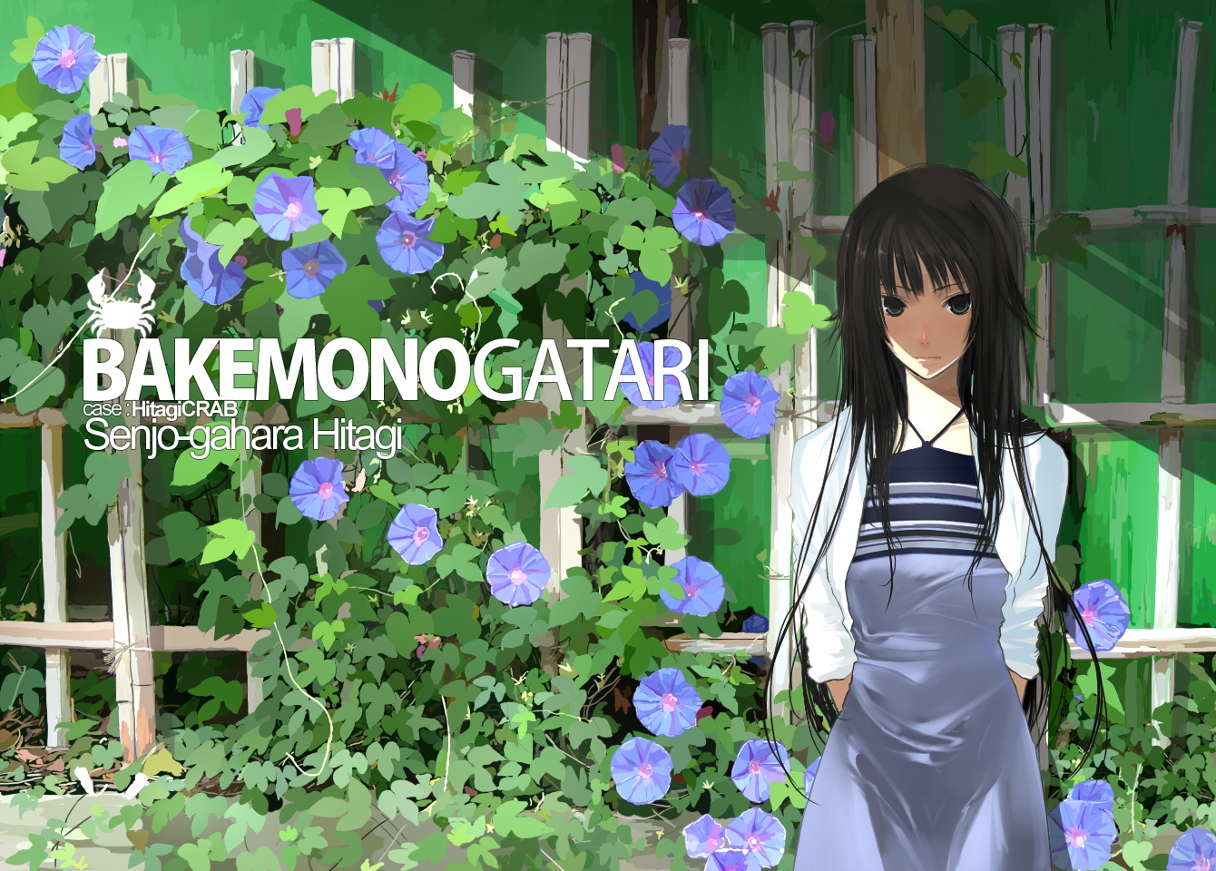 Hitagi Senjougahara from Bakemonogatari HD Wallpaper