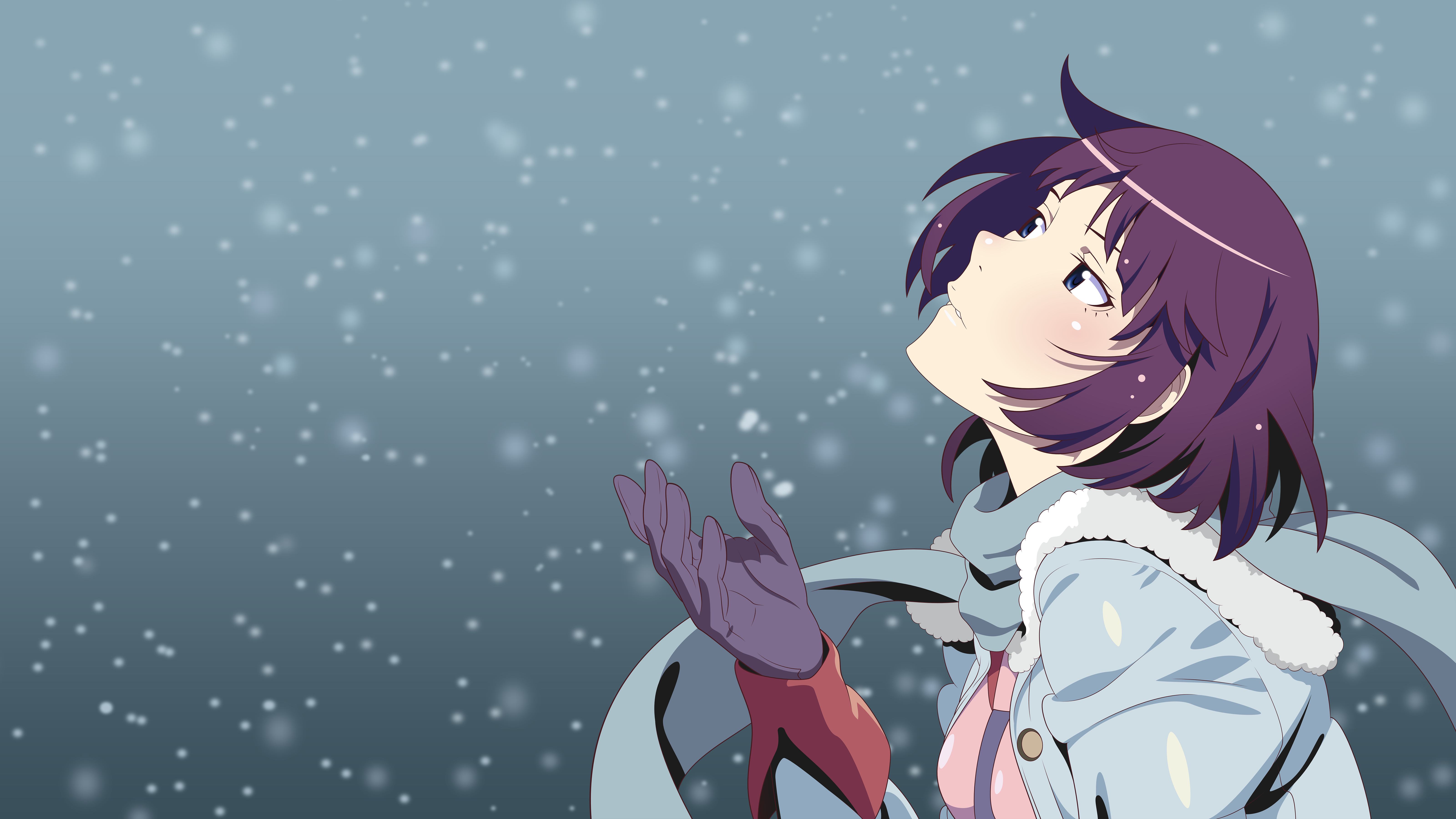 Hitagi Senjougahara from Monogatari Series HD Wallpaper