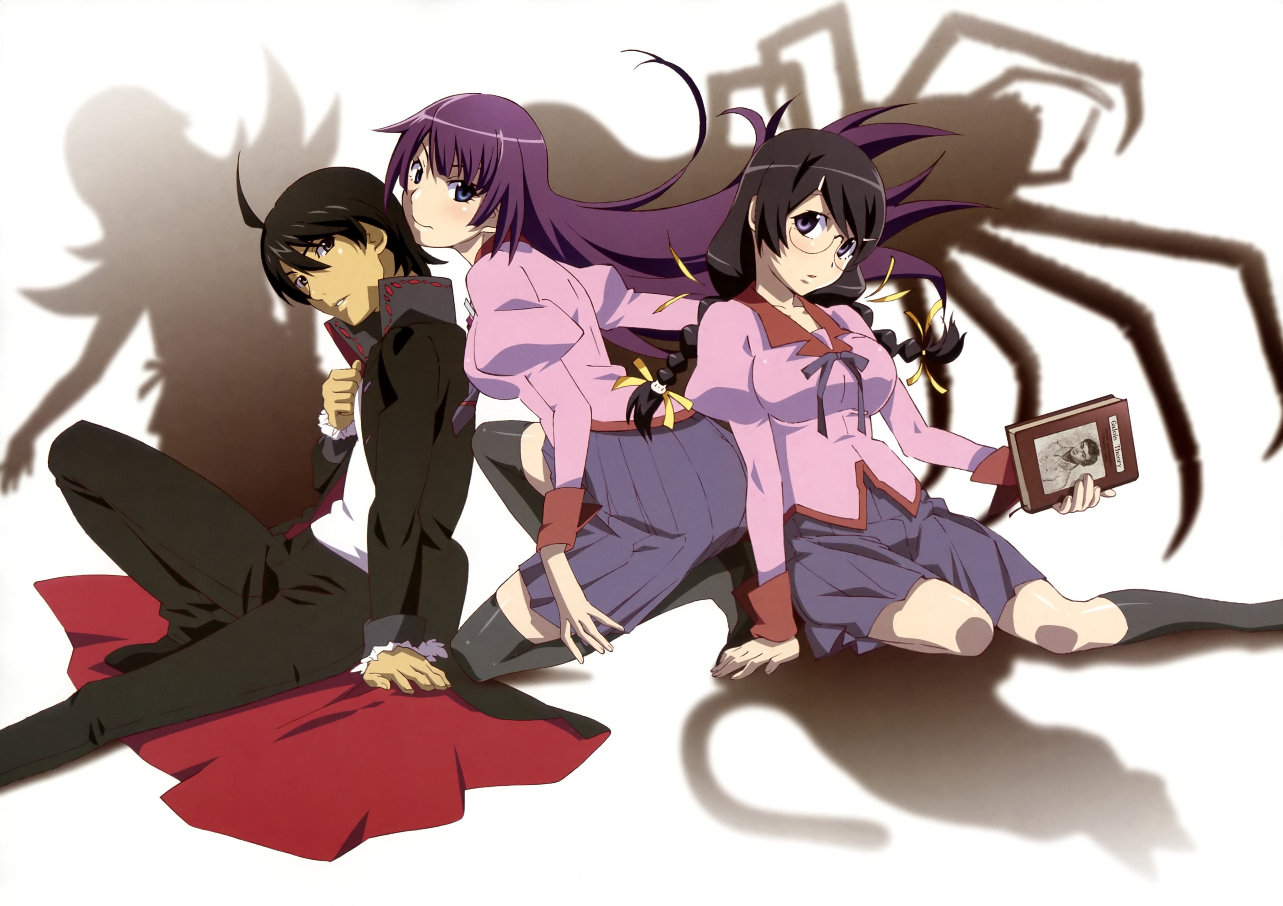 Hitagi Senjougahara from Monogatari Series HD Wallpaper
