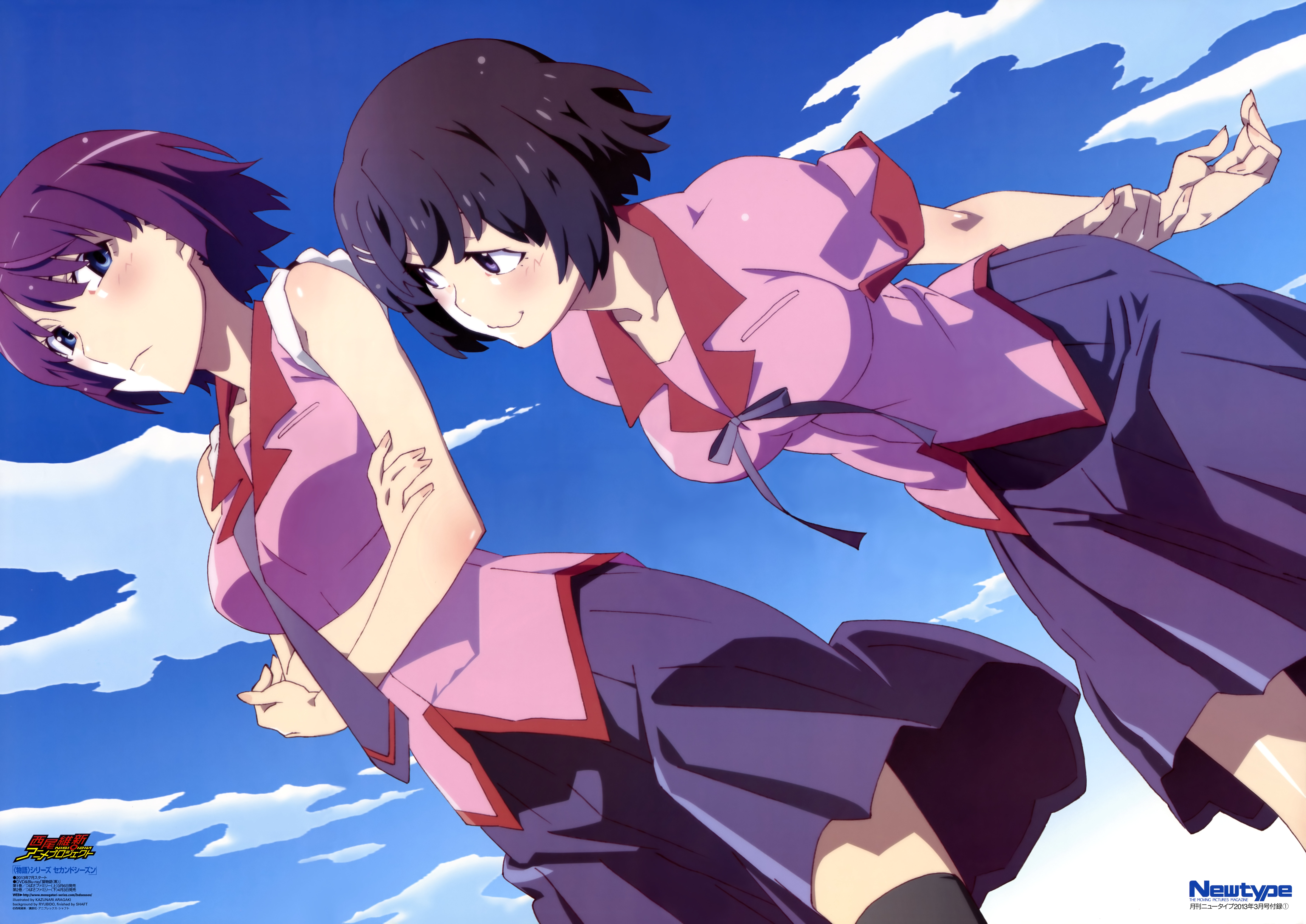 Hitagi Senjougahara from Monogatari Series HD Wallpaper
