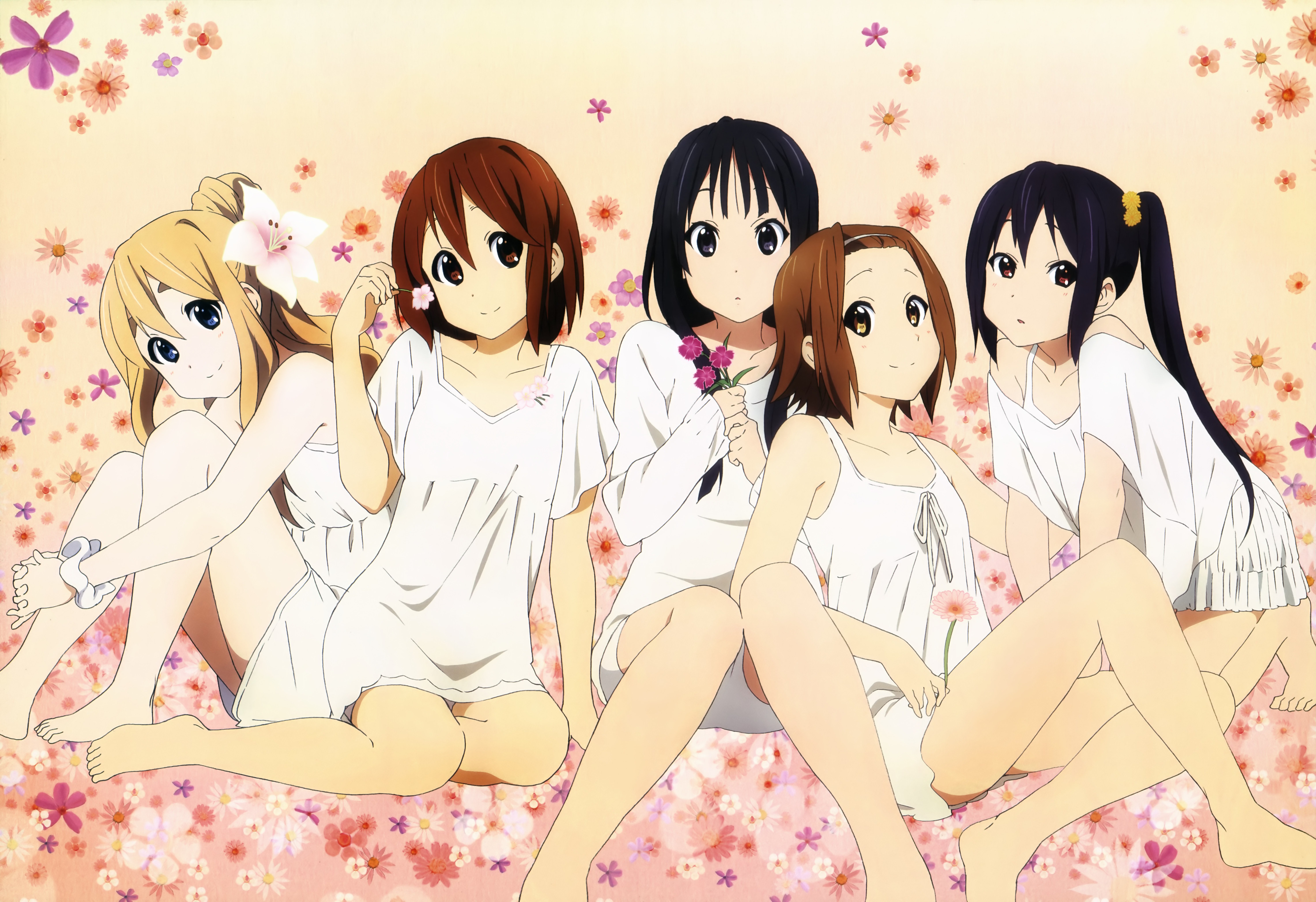 Five girls from K-On! sitting on flowers HD Wallpaper