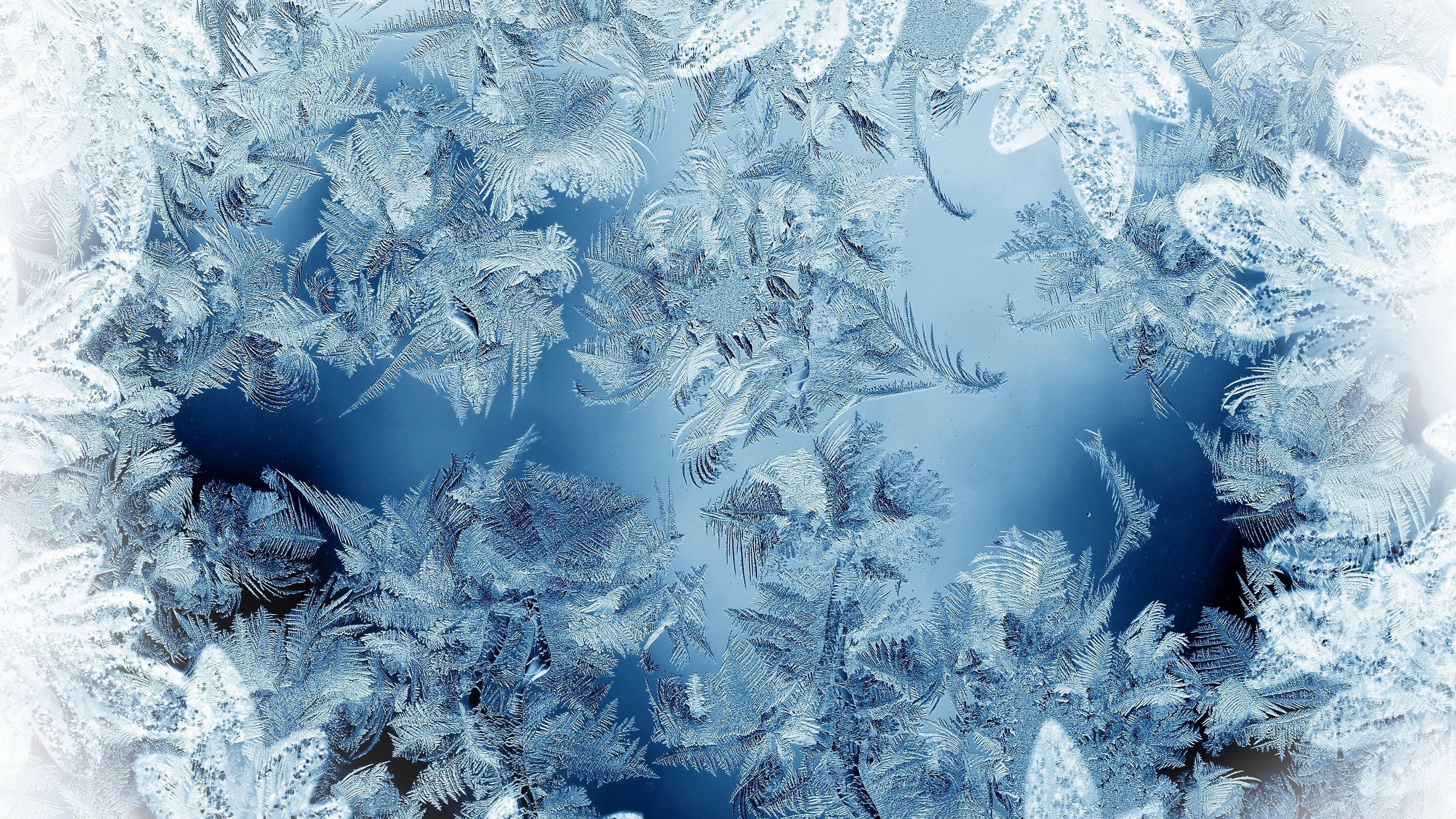 Close-up of frost patterns on a blue surface HD Wallpaper