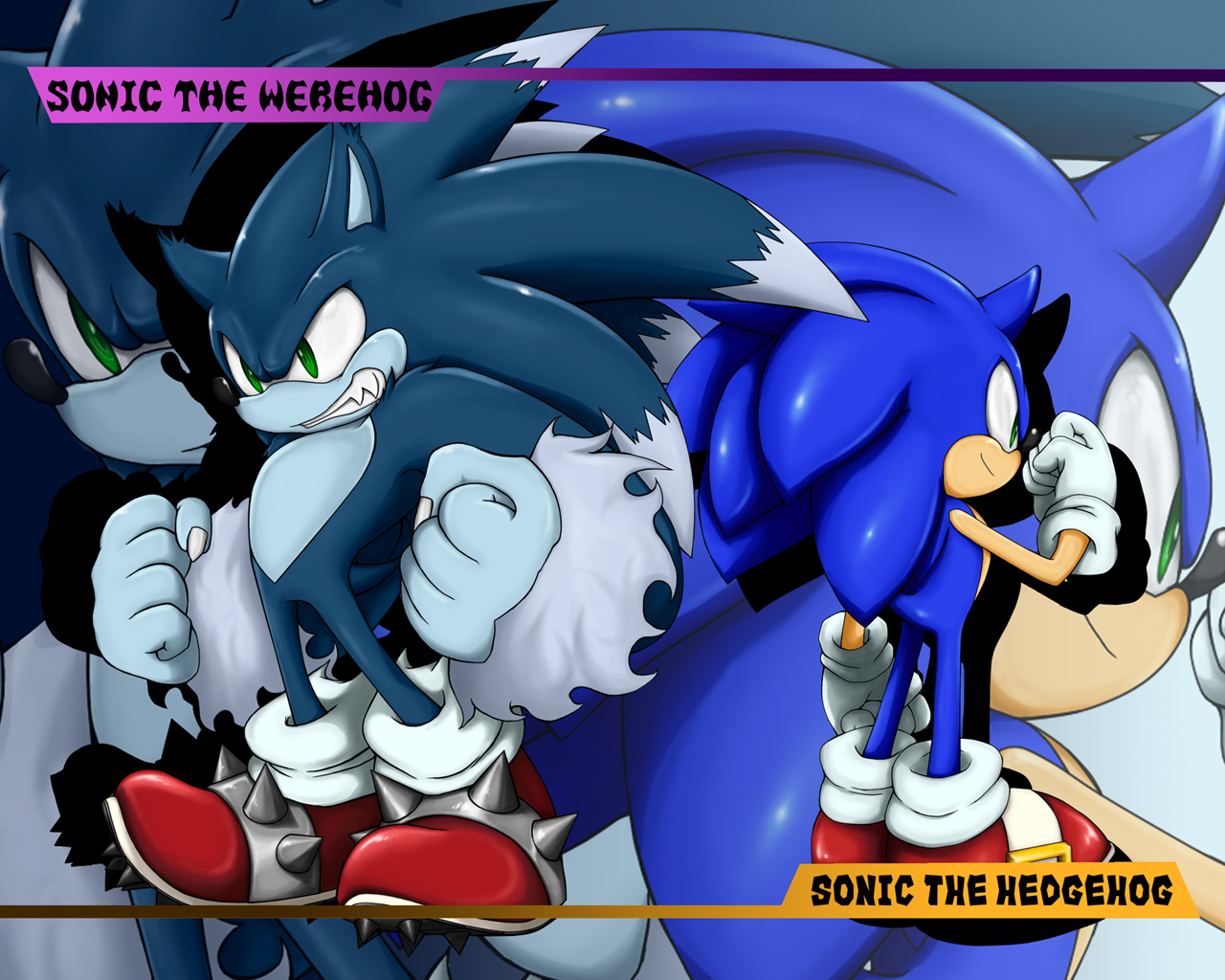 Sonic the Werehog and Sonic the Hedgehog HD Wallpaper