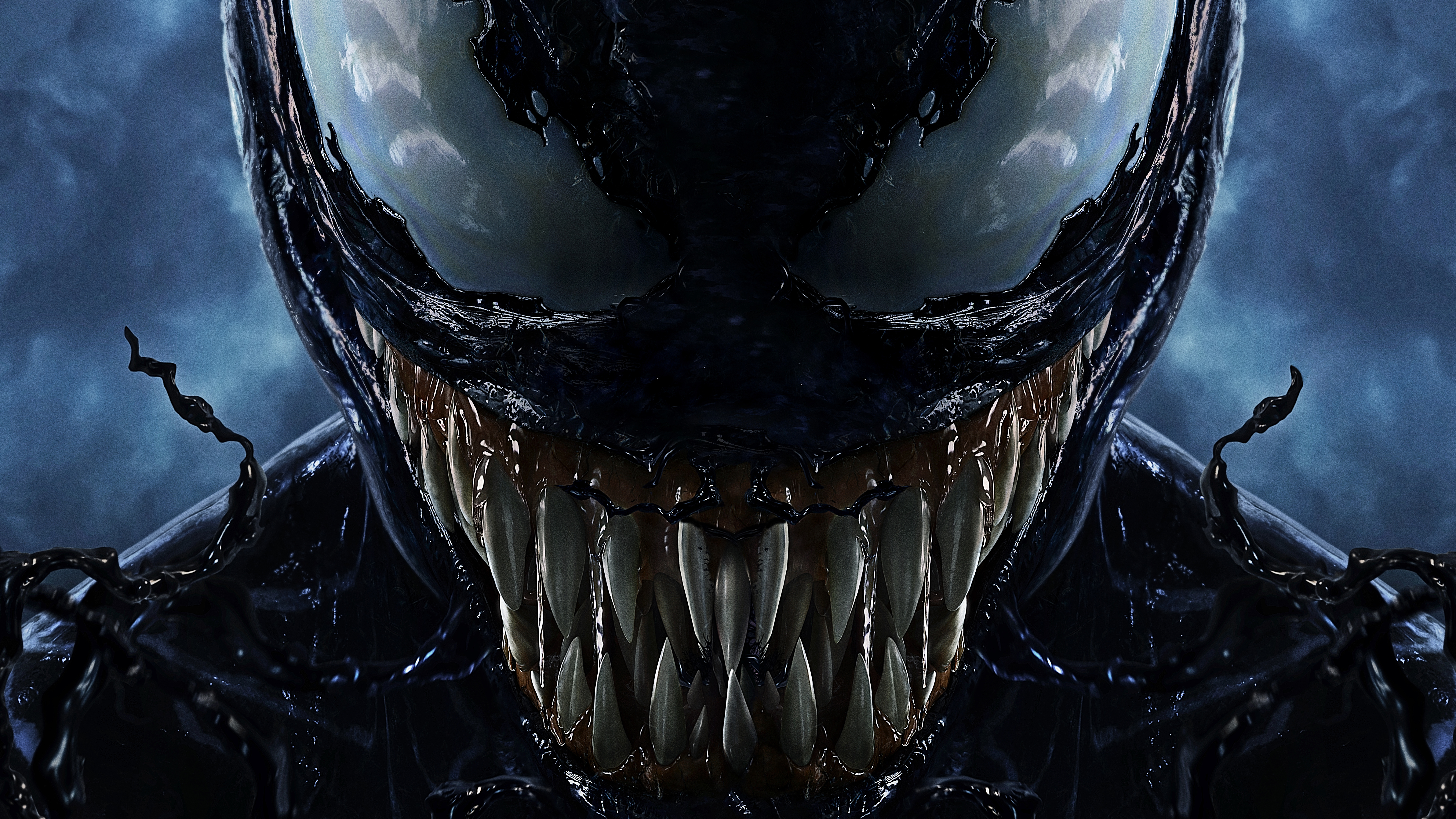 Venom from Marvel Comics HD Wallpaper