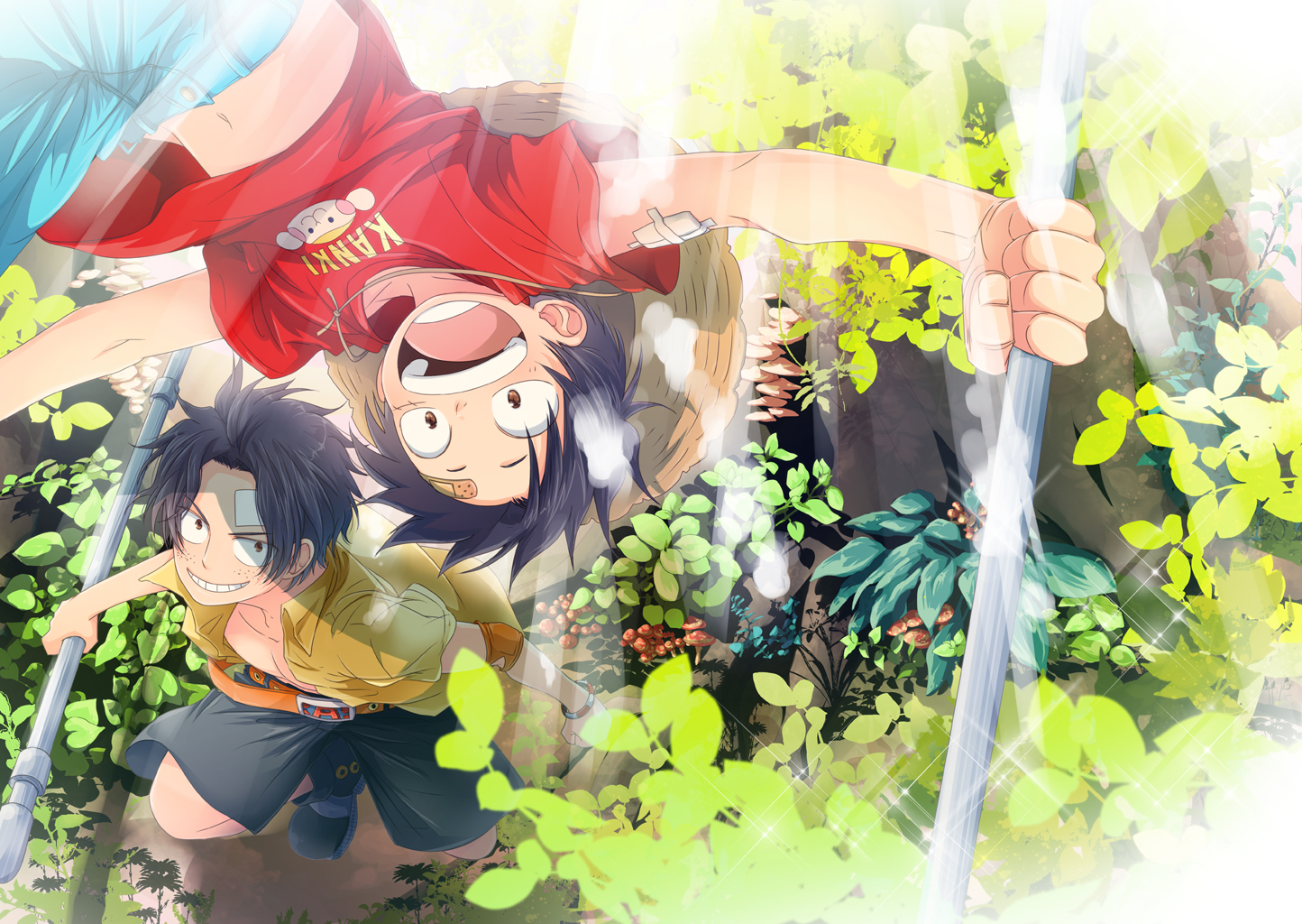 Portgas D. Ace and Sabo from One Piece HD Wallpaper