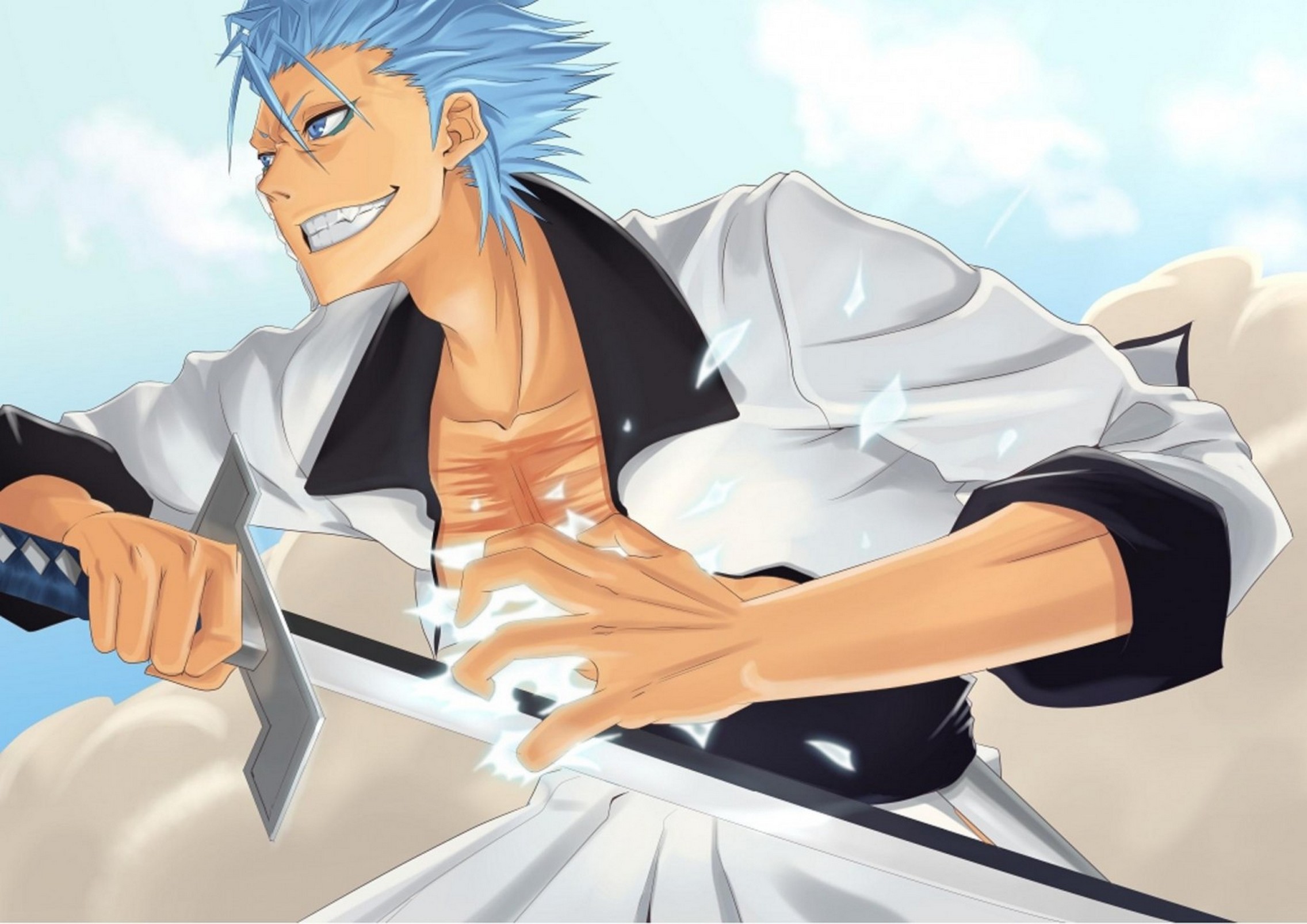 Grimmjow Jaegerjaquez from Bleach HD Wallpaper