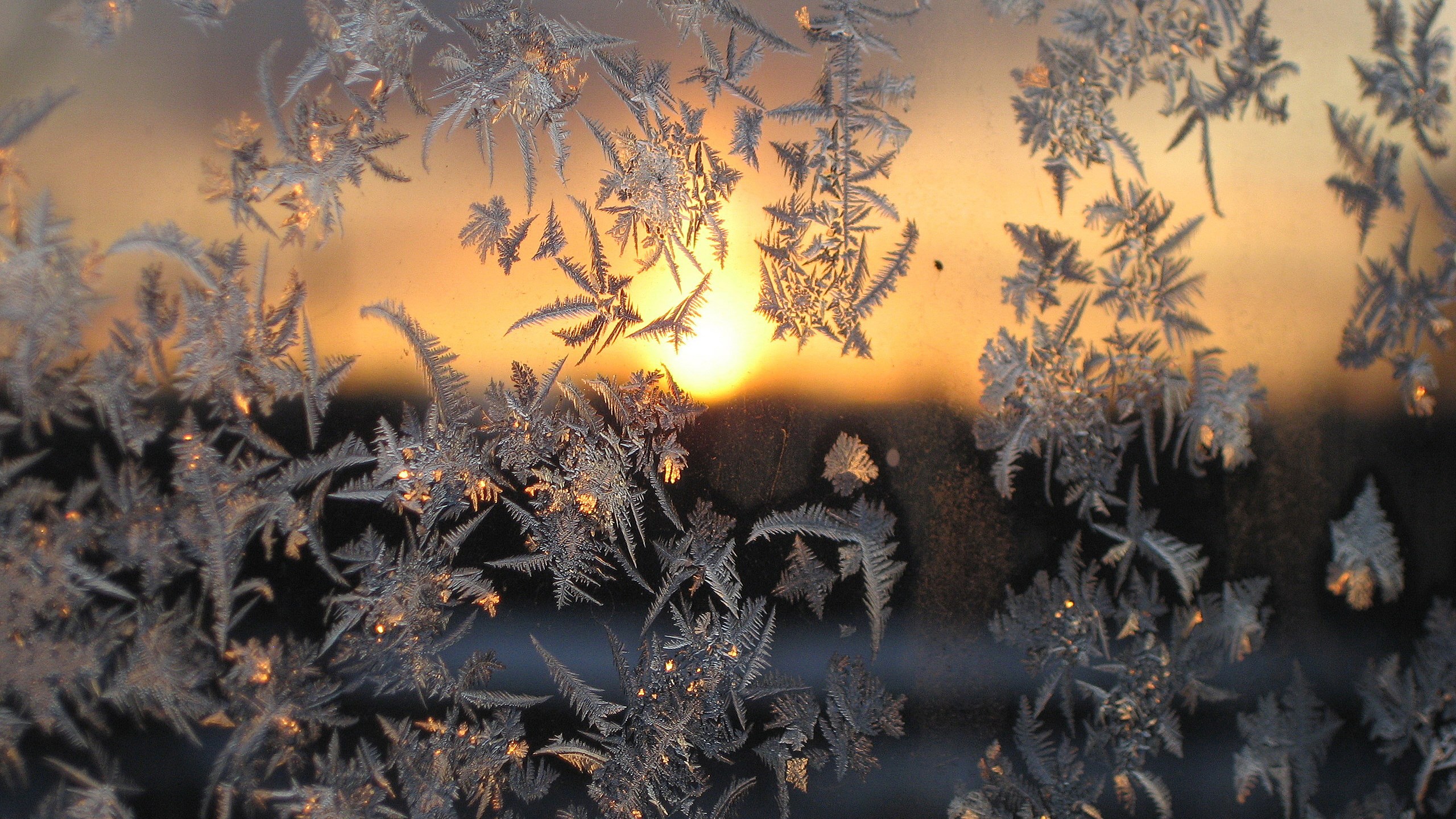 Frost patterns on a window at sunset HD Wallpaper