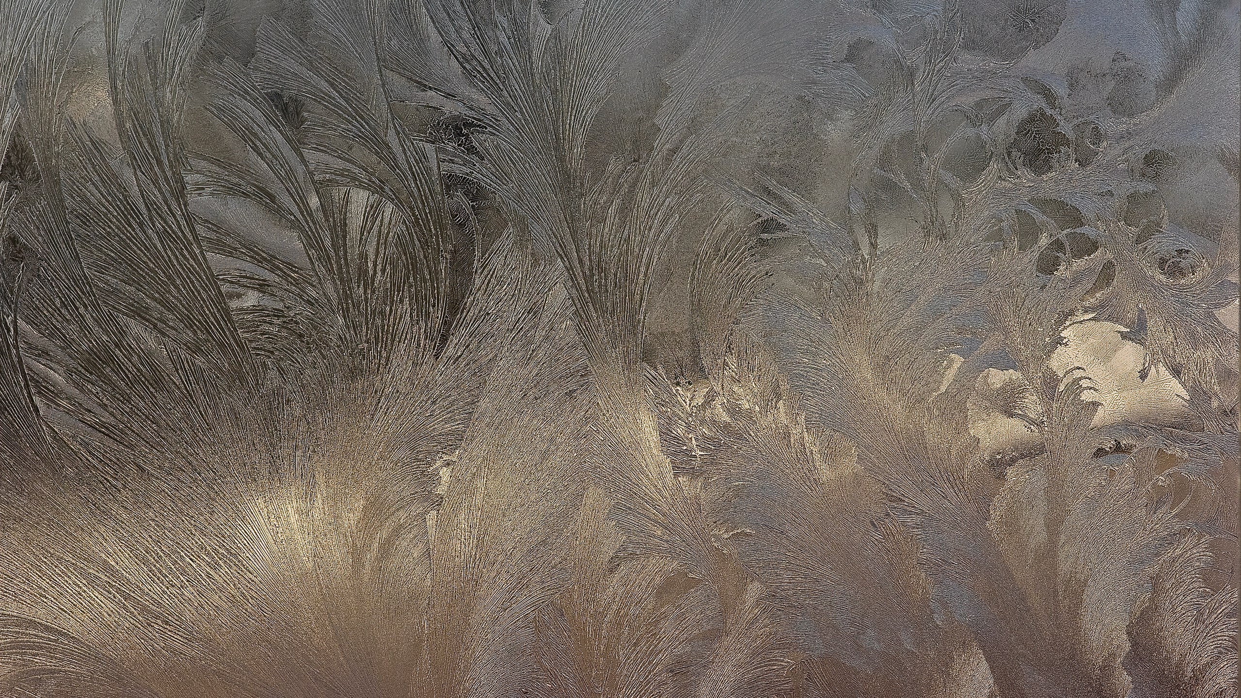 Frost patterns on a window HD Wallpaper