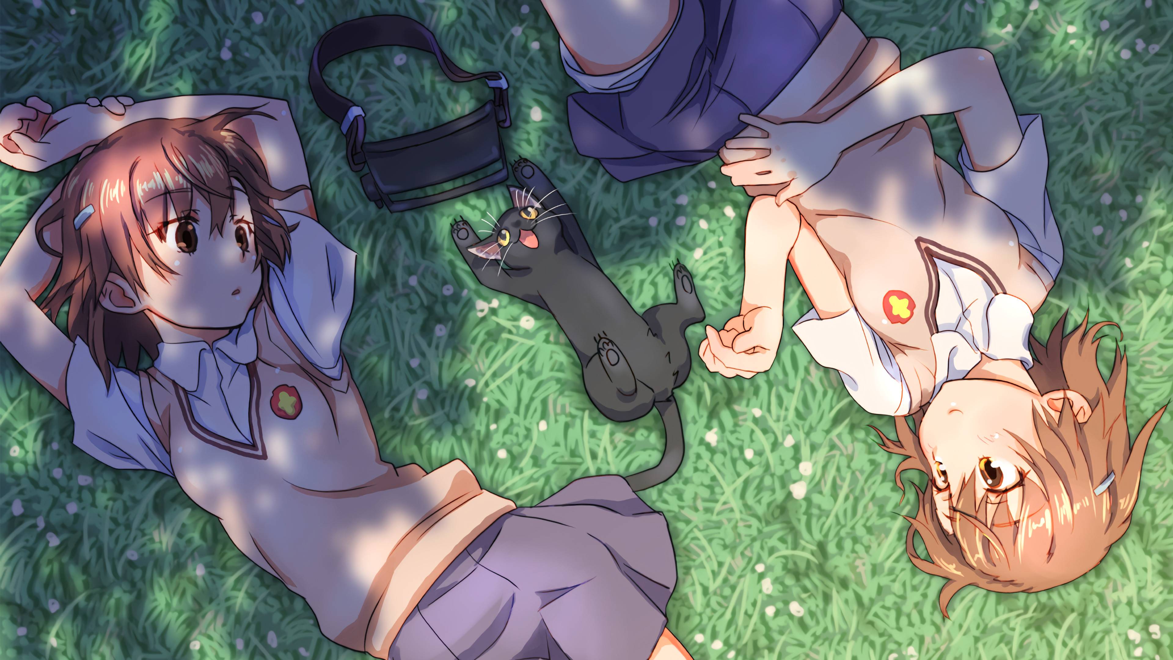 Mikoto Misaka and a black cat on grass HD Wallpaper