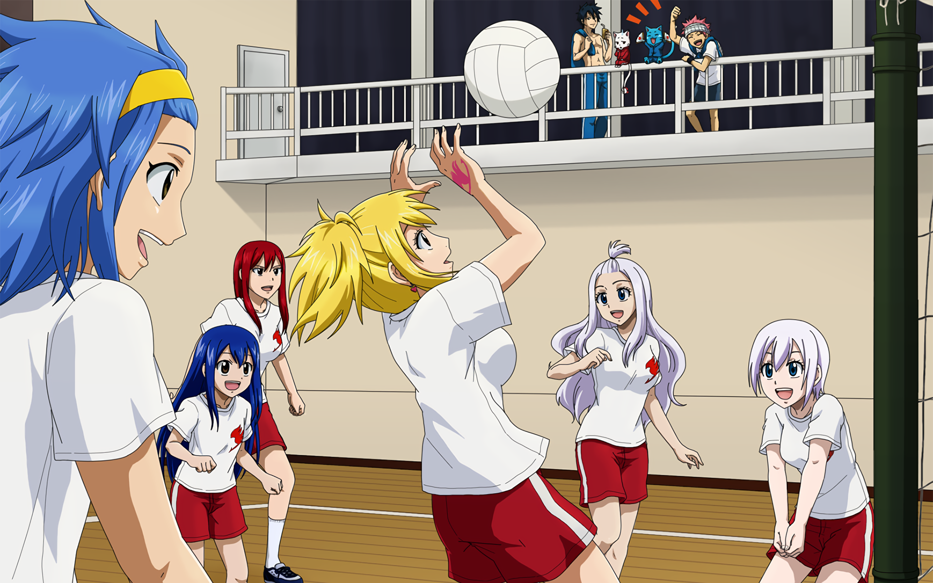 Fairy Tail characters playing volleyball in a gym HD Wallpaper