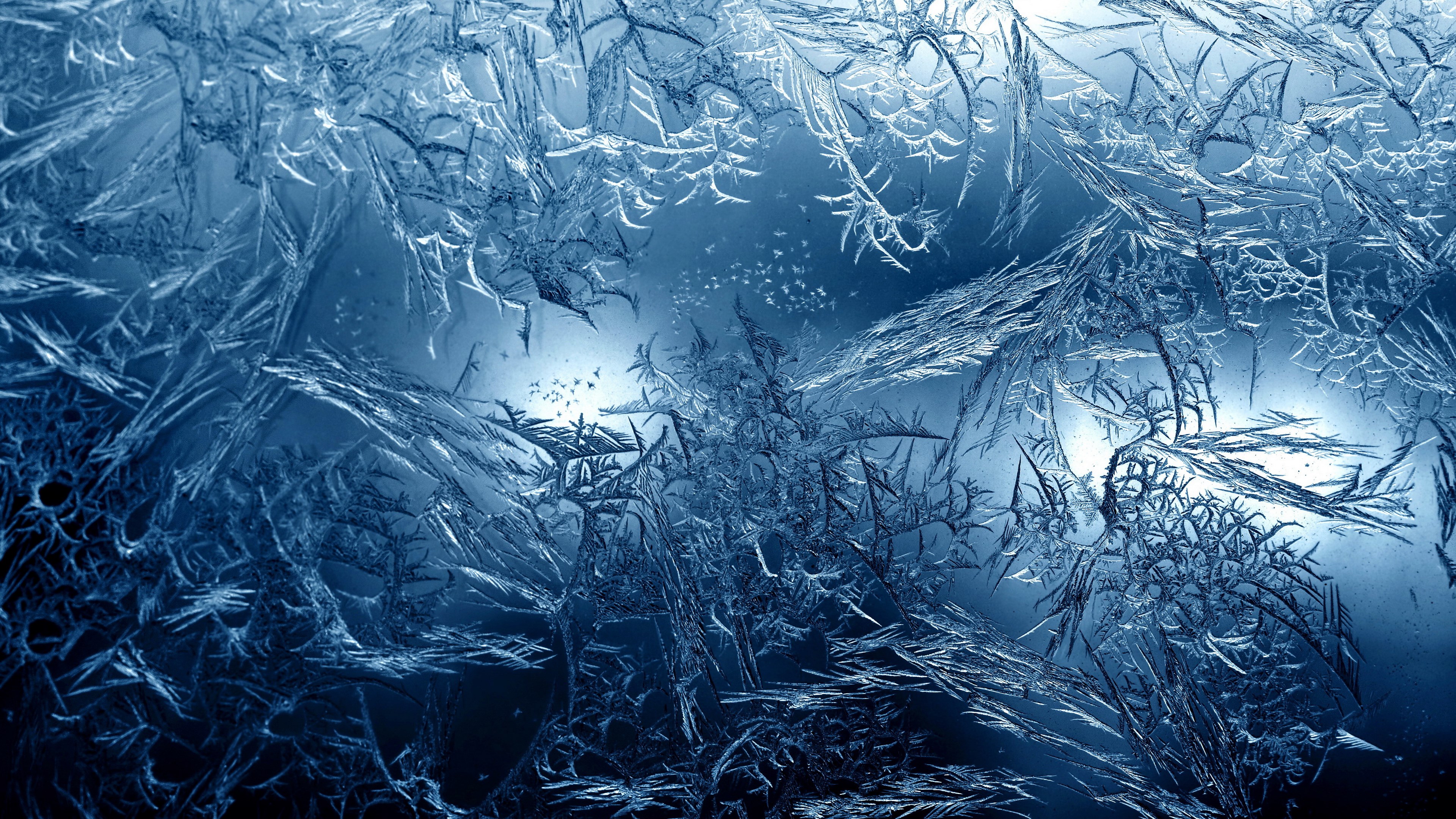 Close-up of frost patterns on glass HD Wallpaper