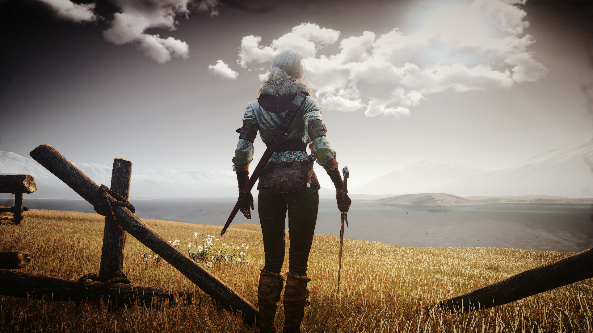 Ciri from The Witcher standing in a field HD Wallpaper