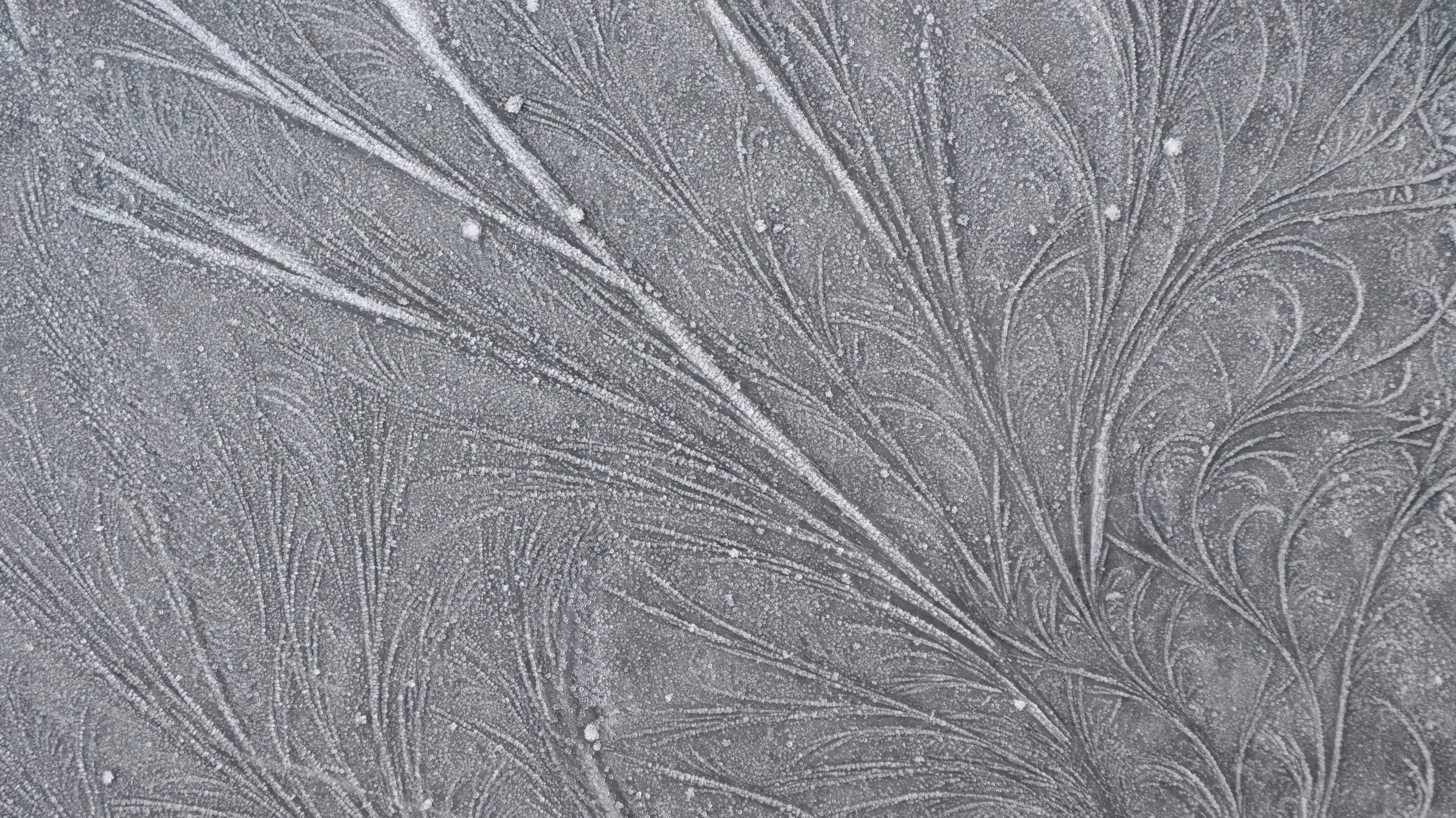 Frost patterns on a dark surface HD Wallpaper