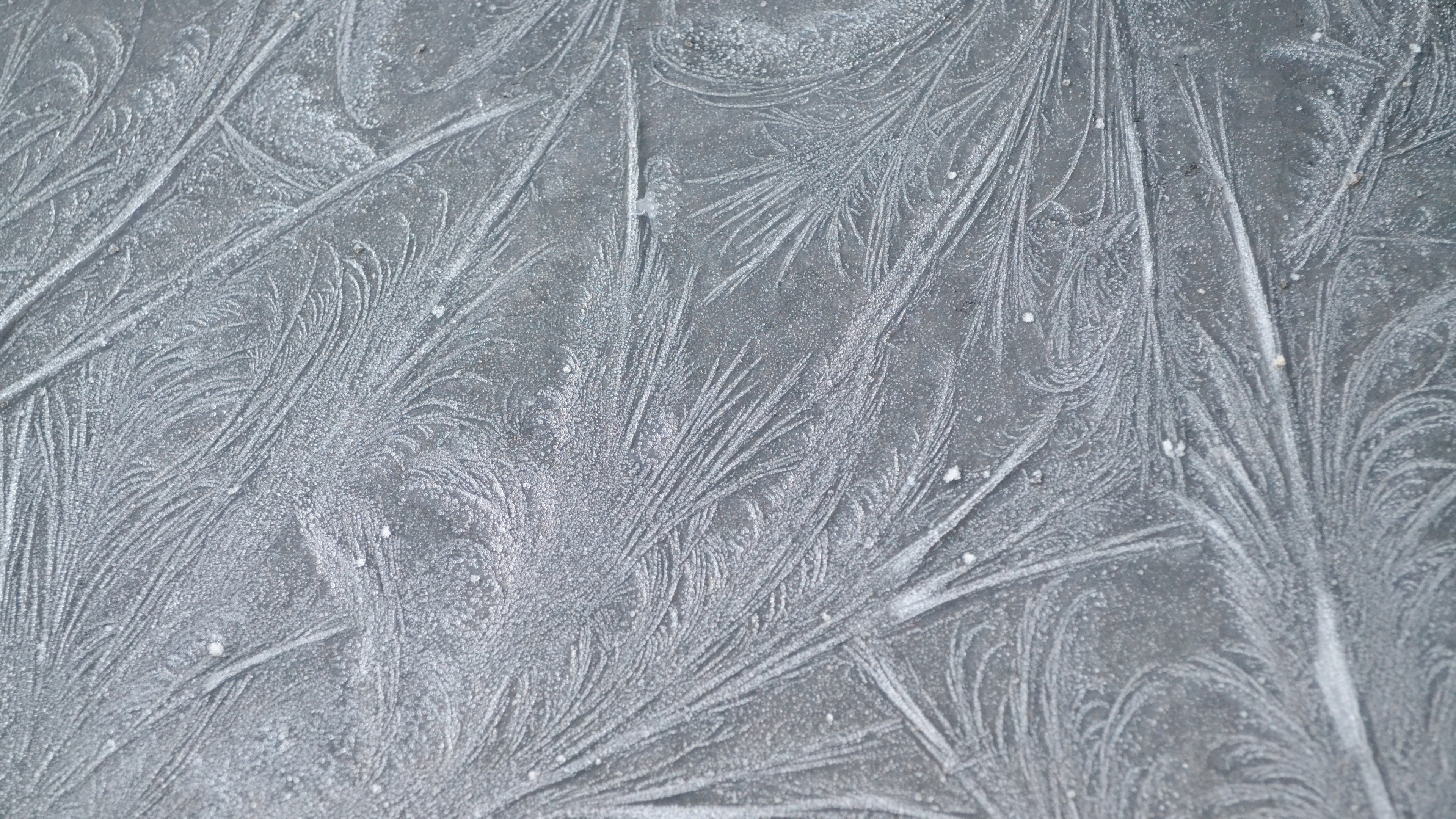 Close-up of frost patterns on a surface HD Wallpaper