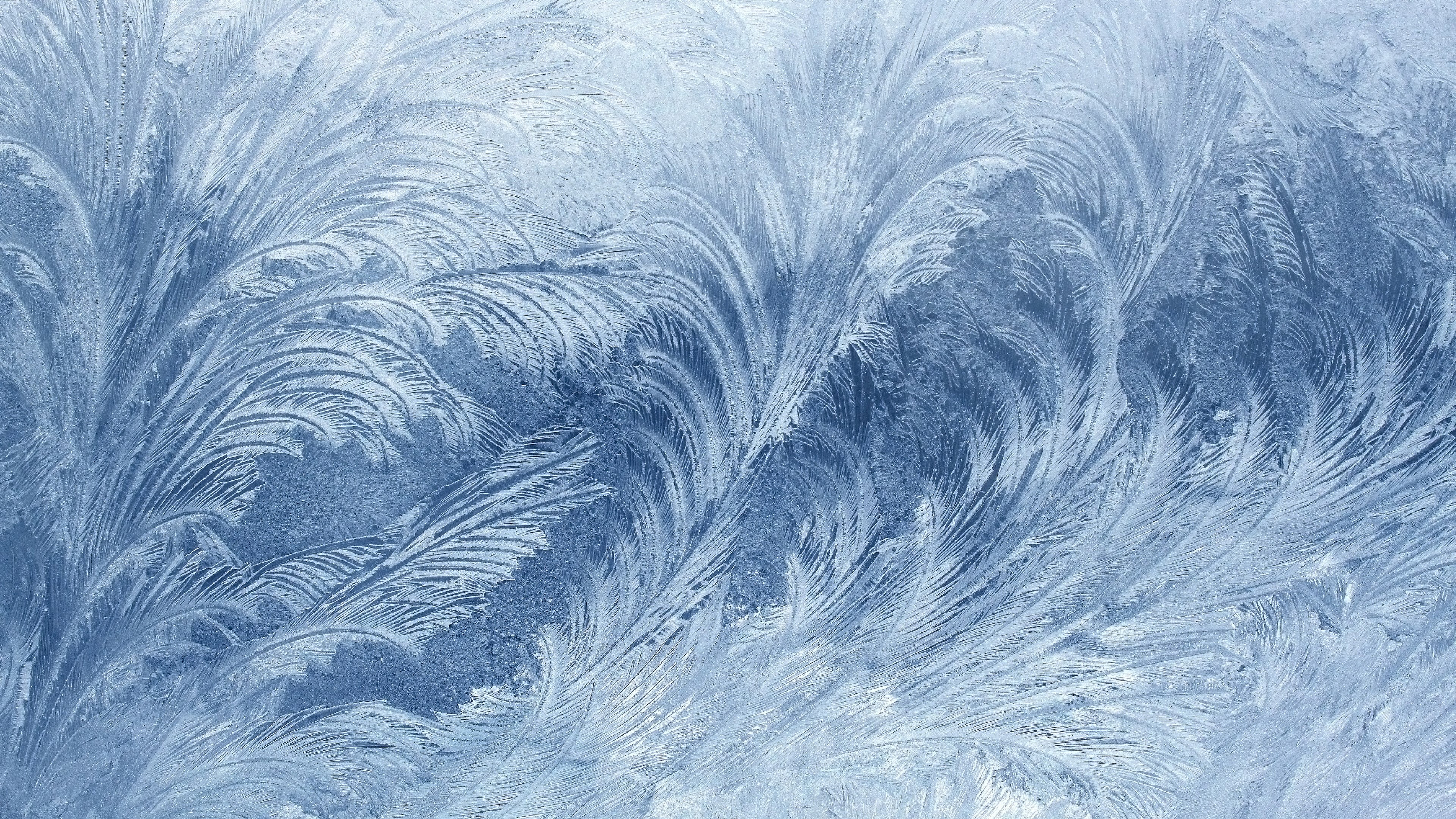 Frost patterns on a window HD Wallpaper