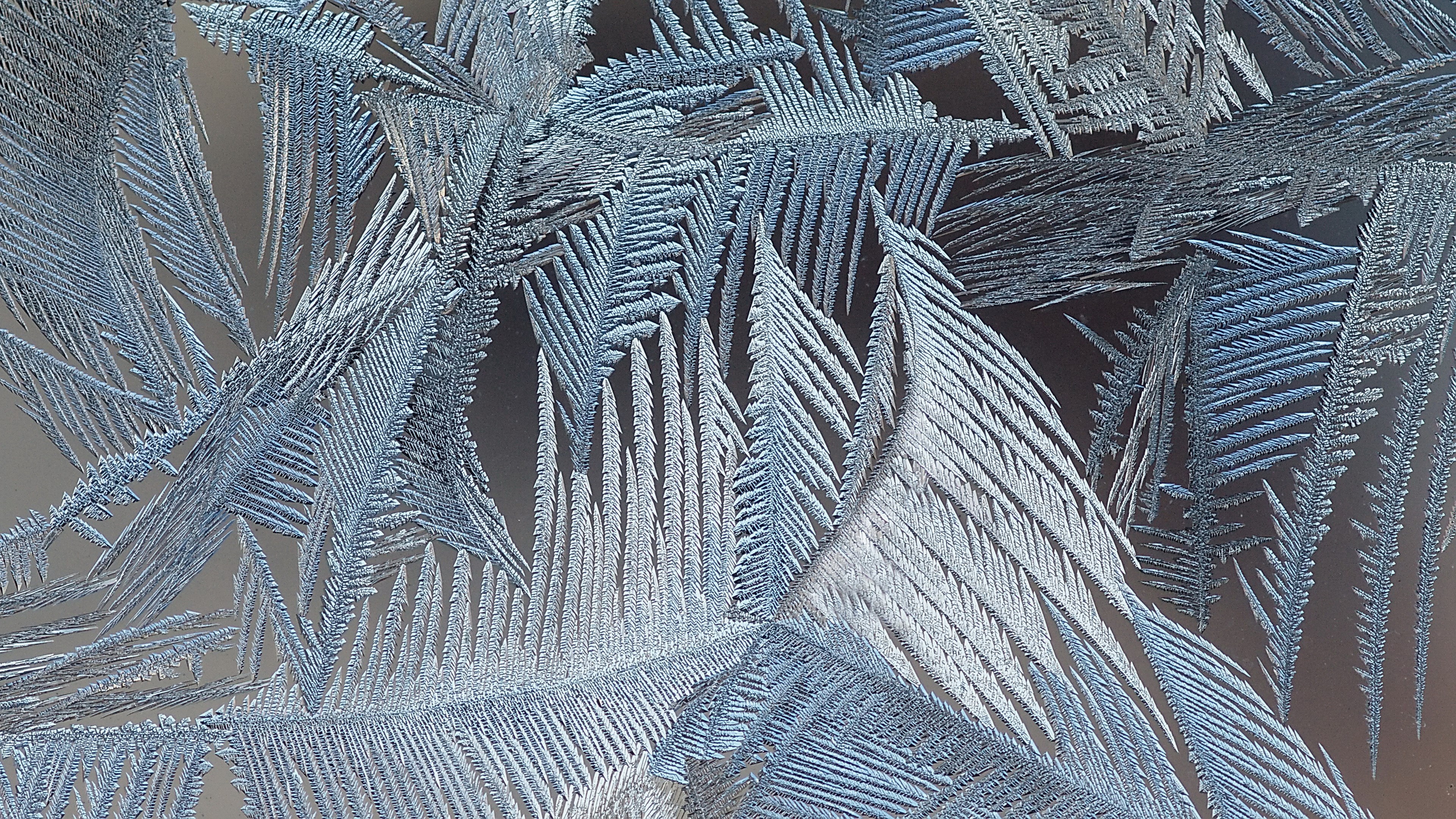 Close-up of frost patterns on glass HD Wallpaper