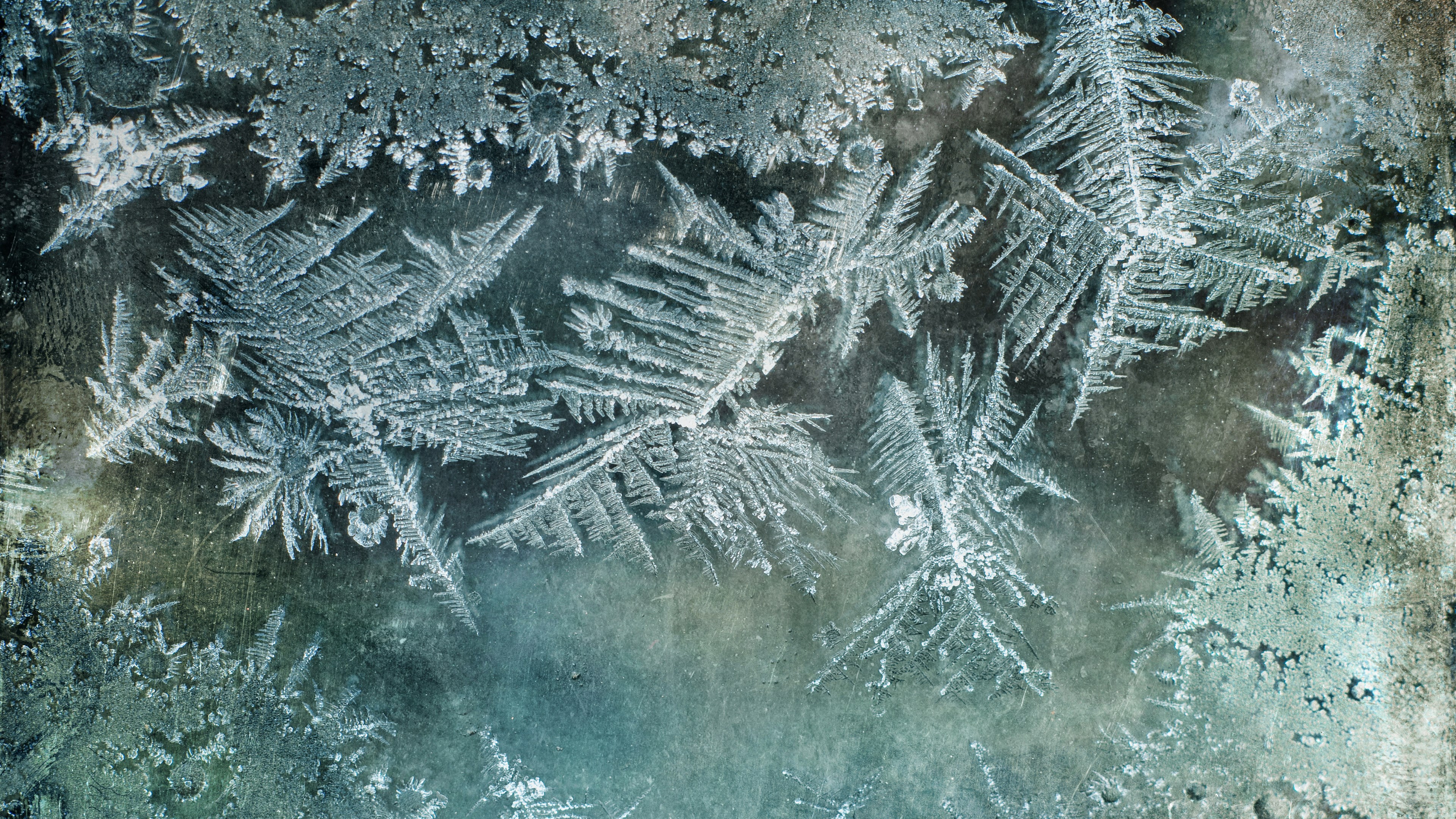 Close-up of frost patterns on glass HD Wallpaper