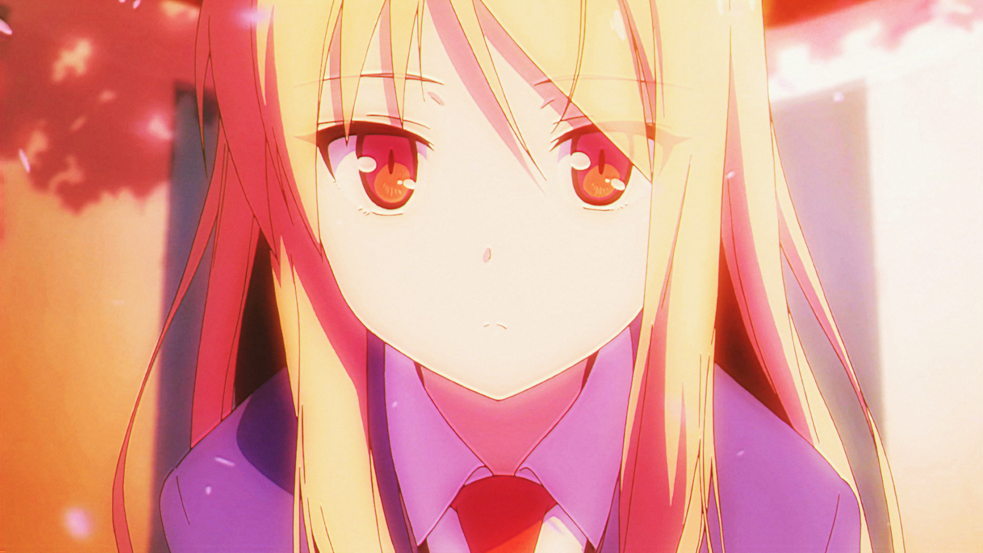 Mashiro Shiina from The Pet Girl of Sakurasou HD Wallpaper