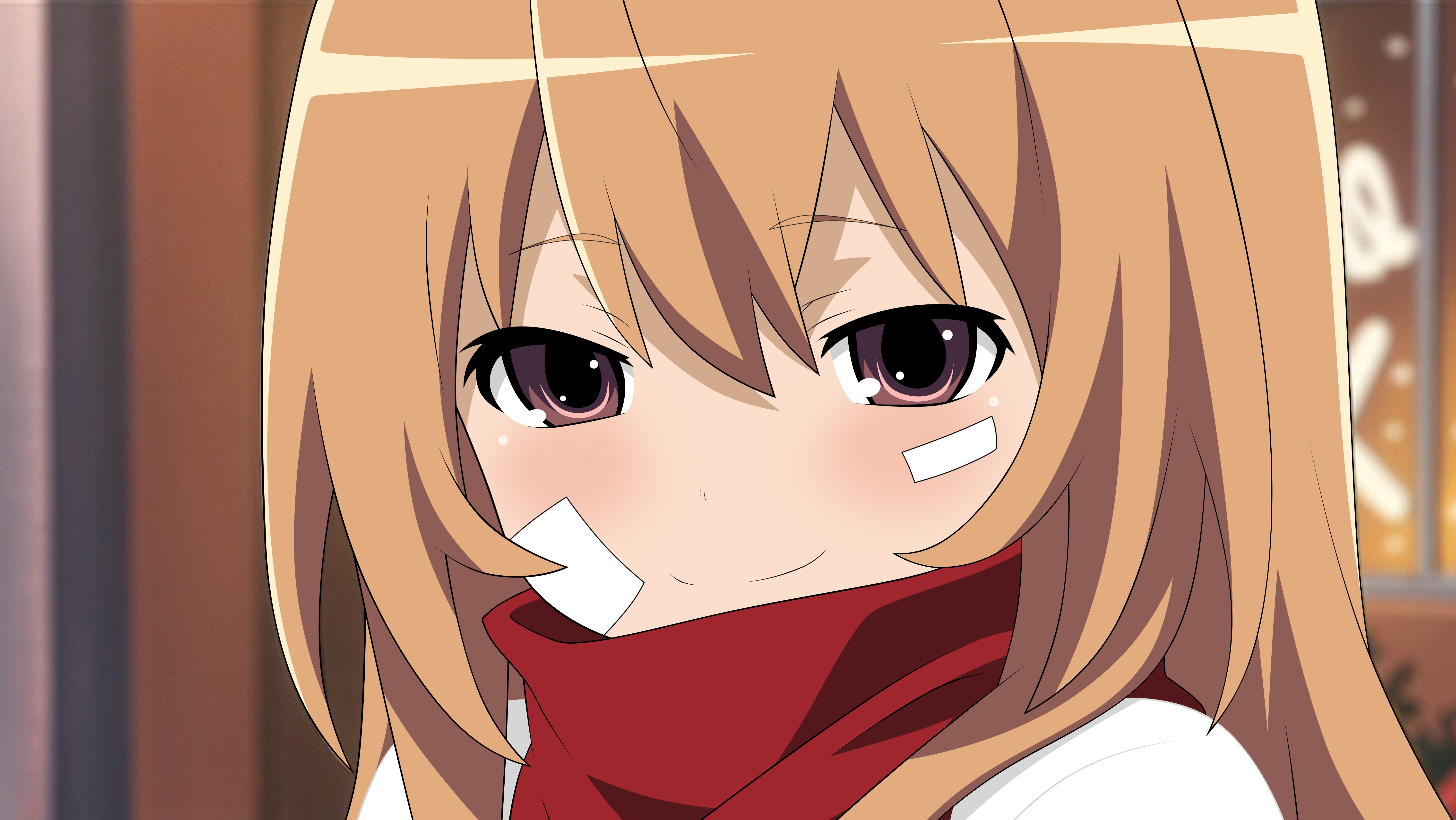 Taiga Aisaka from Toradora! HD Wallpaper